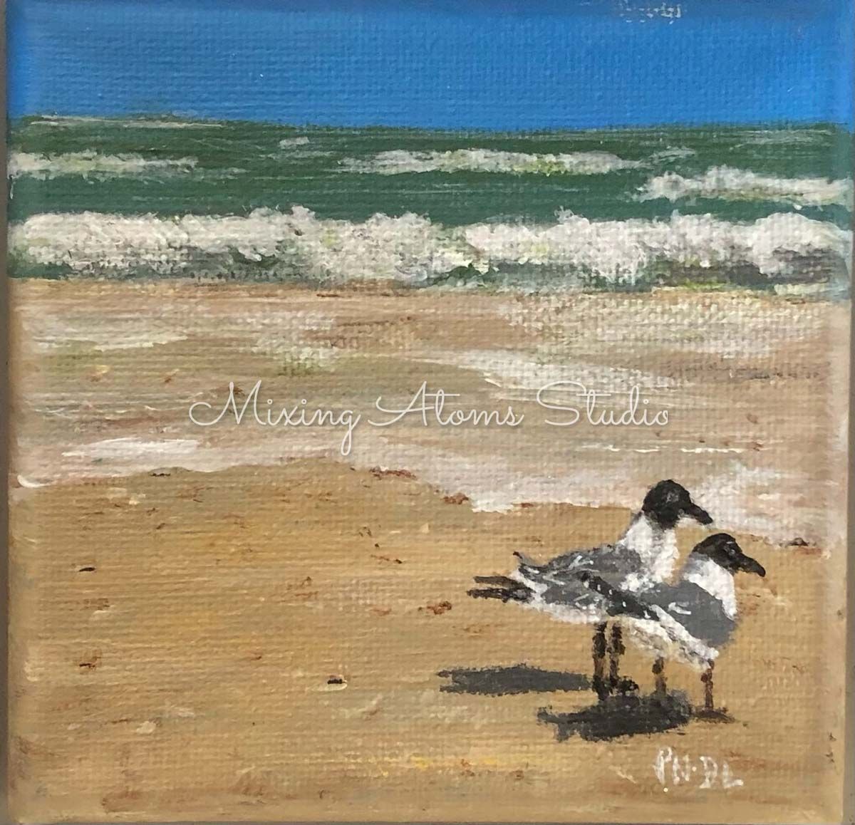 Seagulls