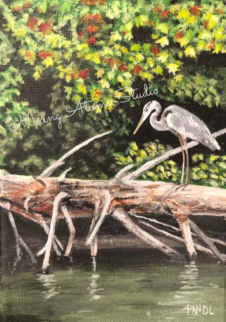 Great Blue Heron
