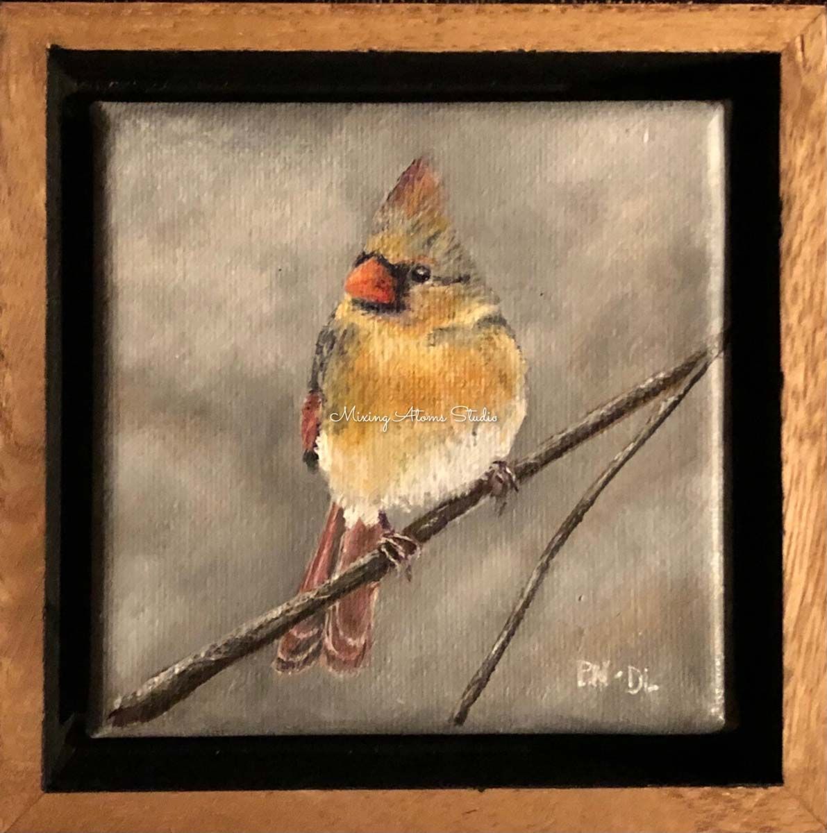 Female Cardinal