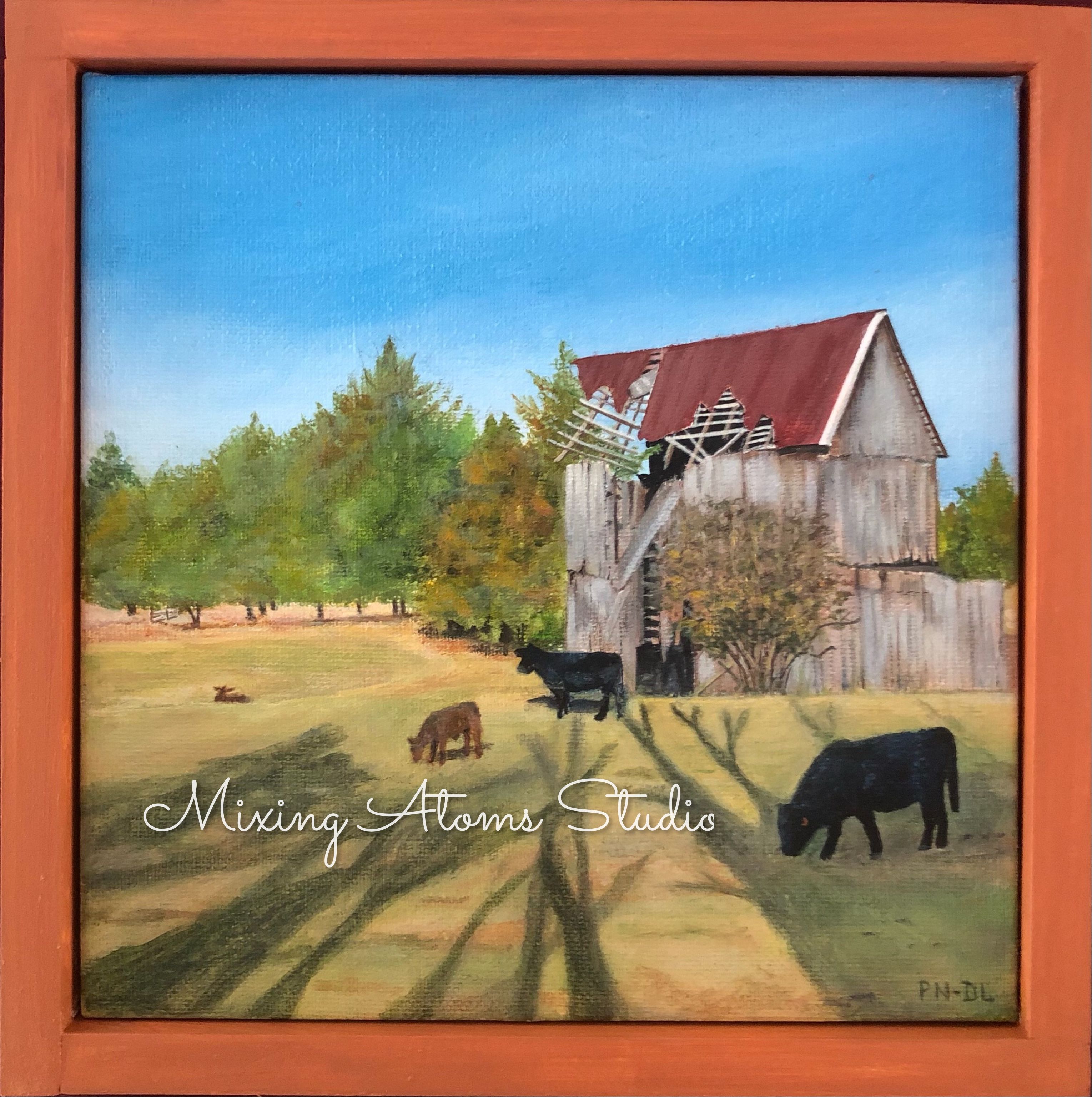 barn and cows