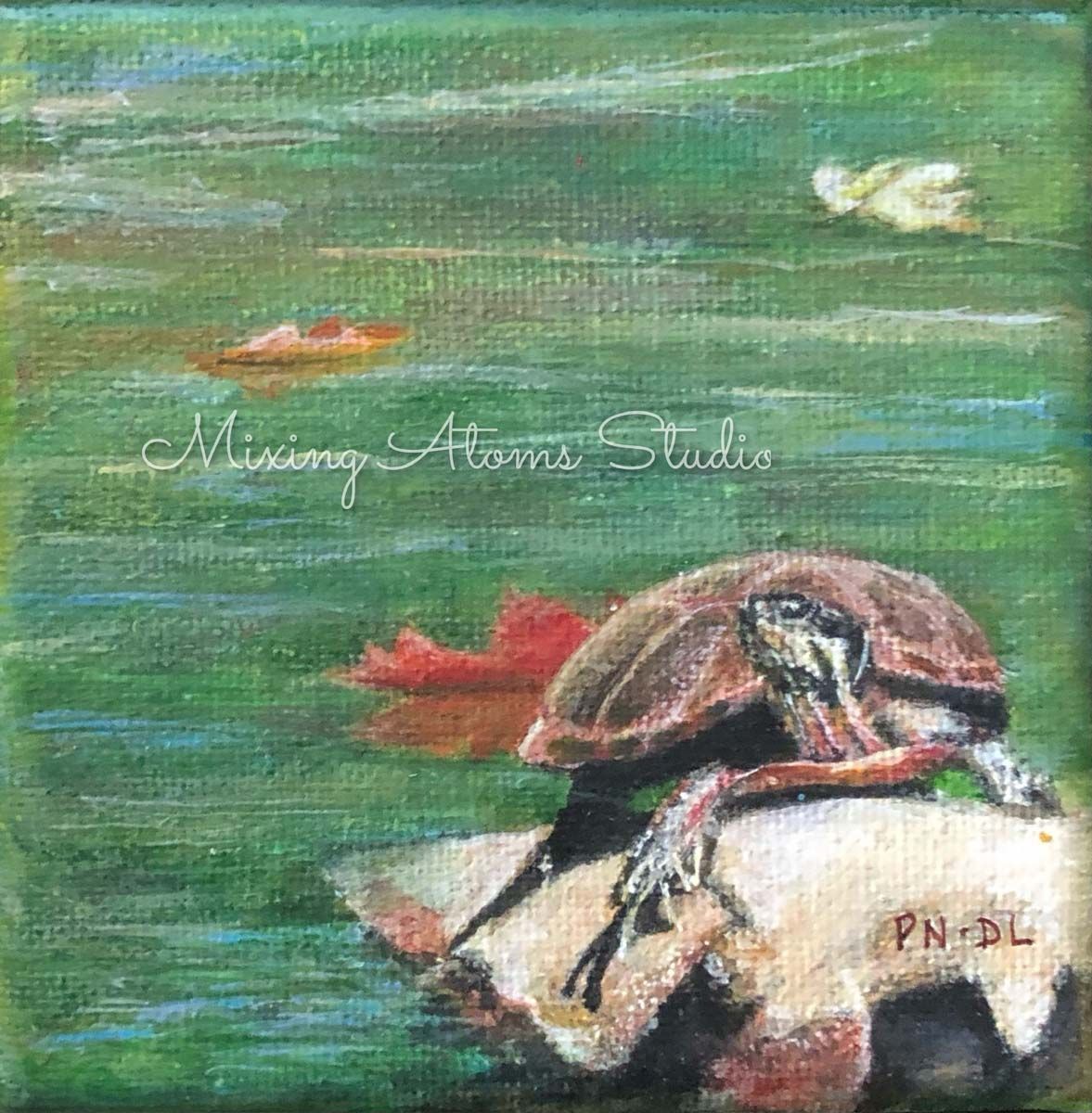 Turtle on Log