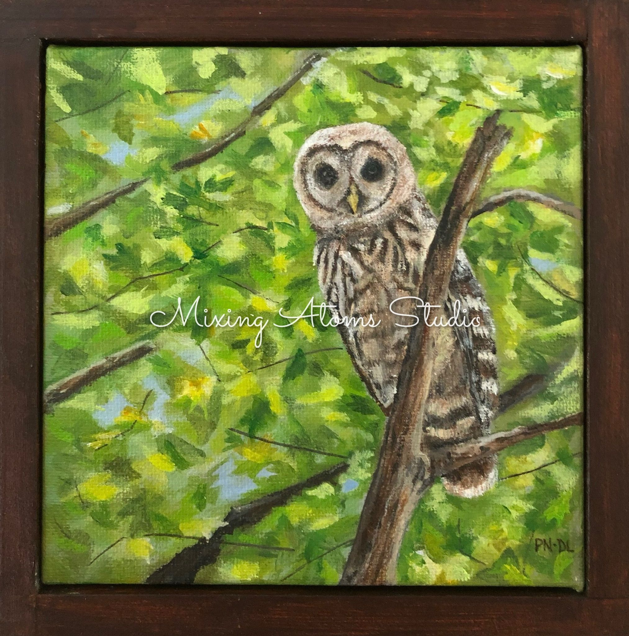 owl