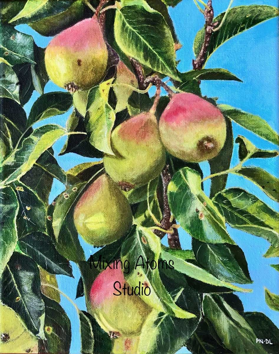 Pears