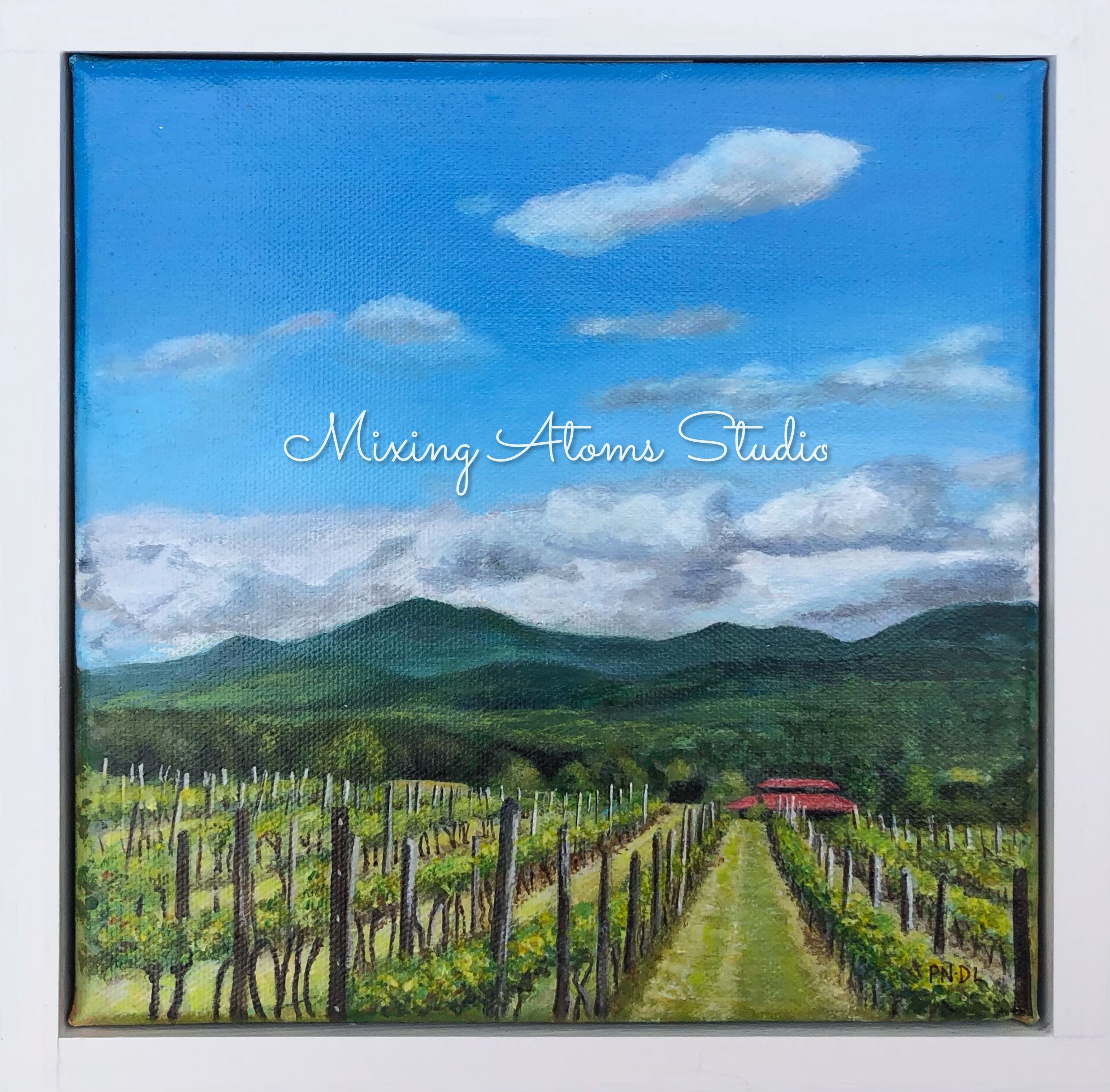 Afton vineyard in the daytime