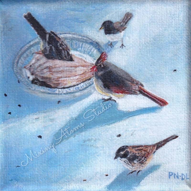 Birds In Snow