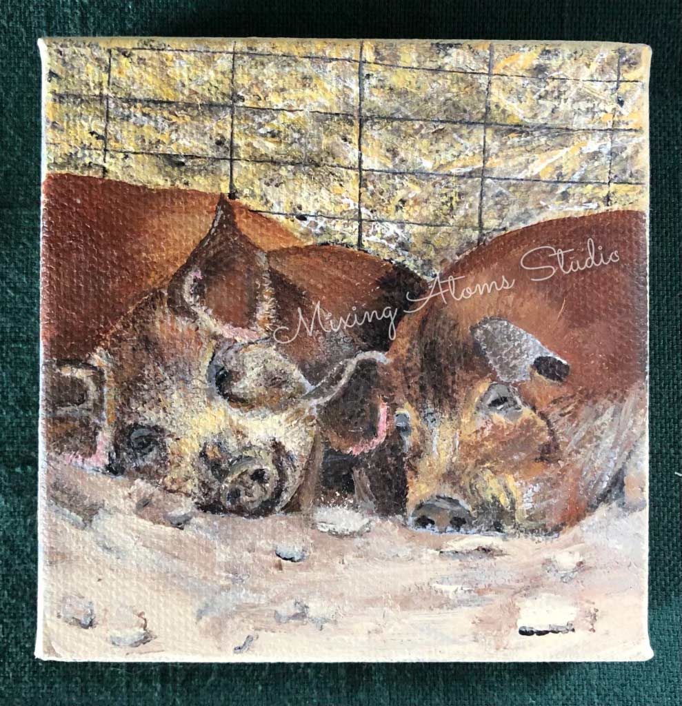 Polyface Farm Hogs
