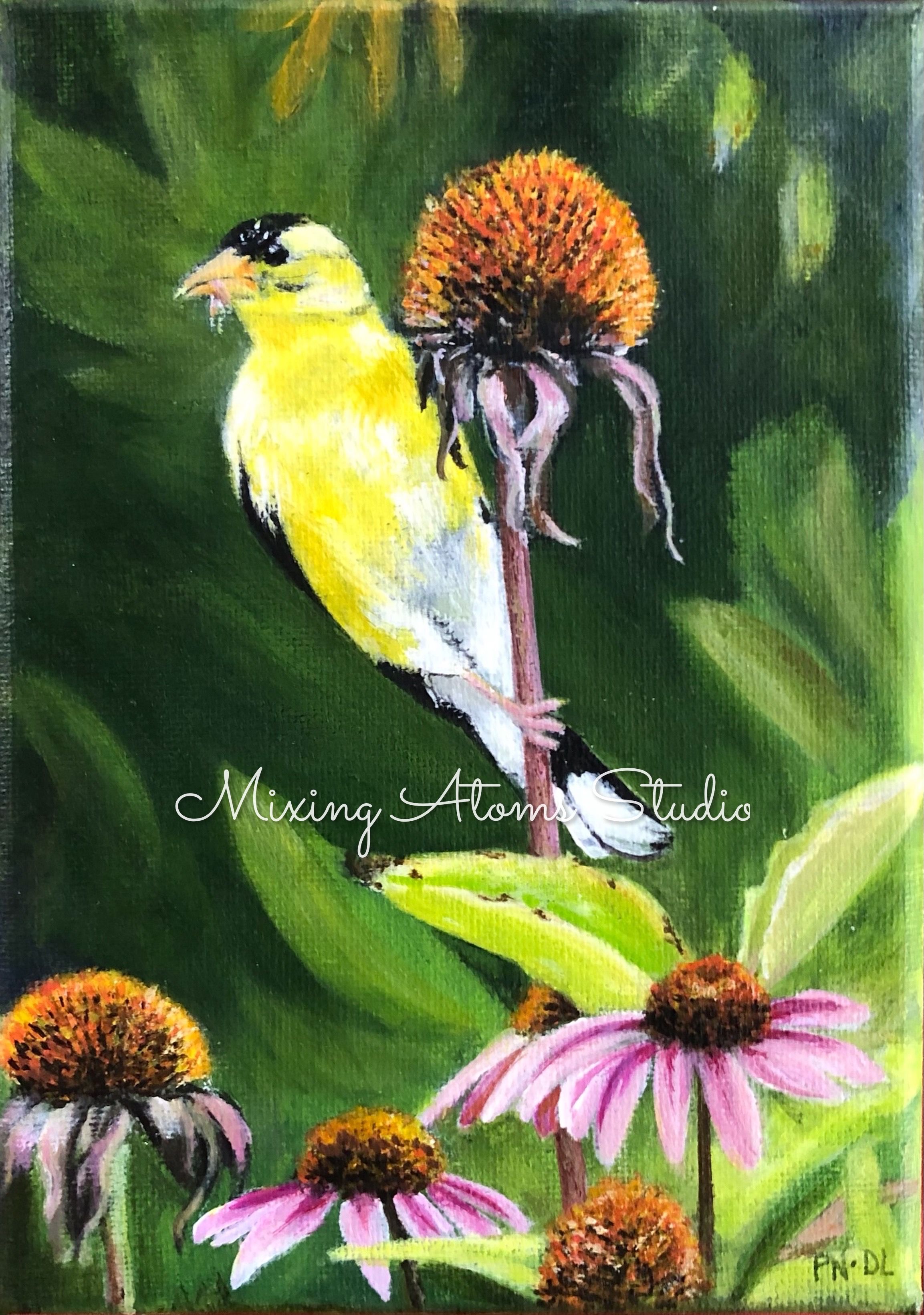 goldfinch on coneflower