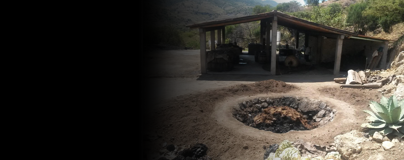 How a Beer Buff Became a Mezcal Maniac