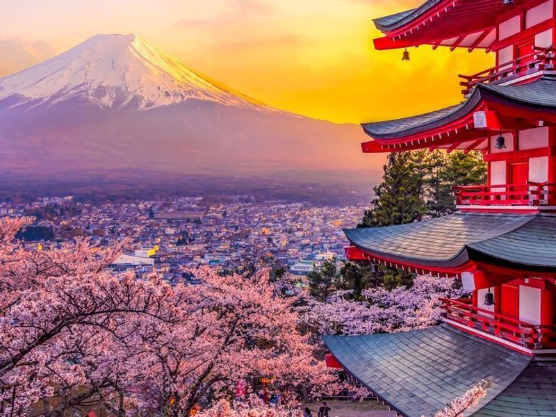  Amazing Japan