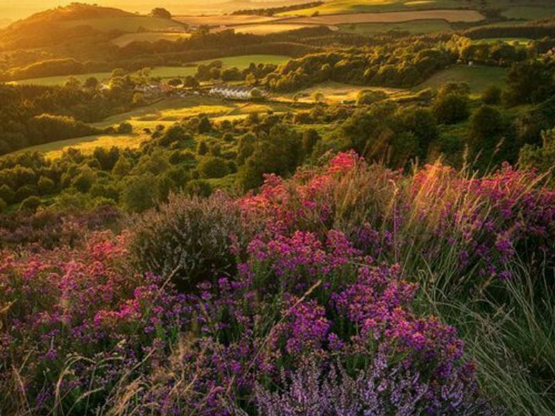  Iceland - Across The Wilderness