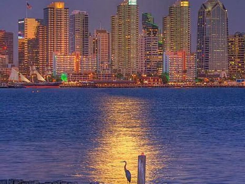  California Highlights