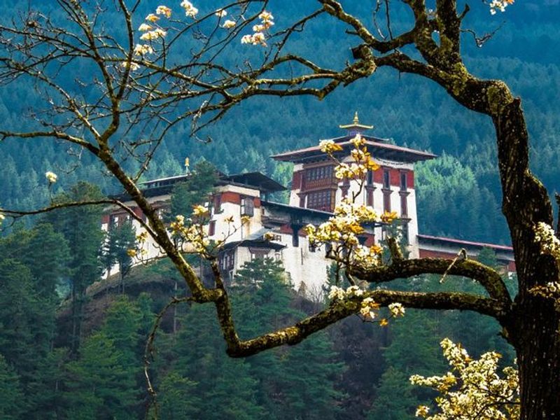 Bhutan Adventure Escape