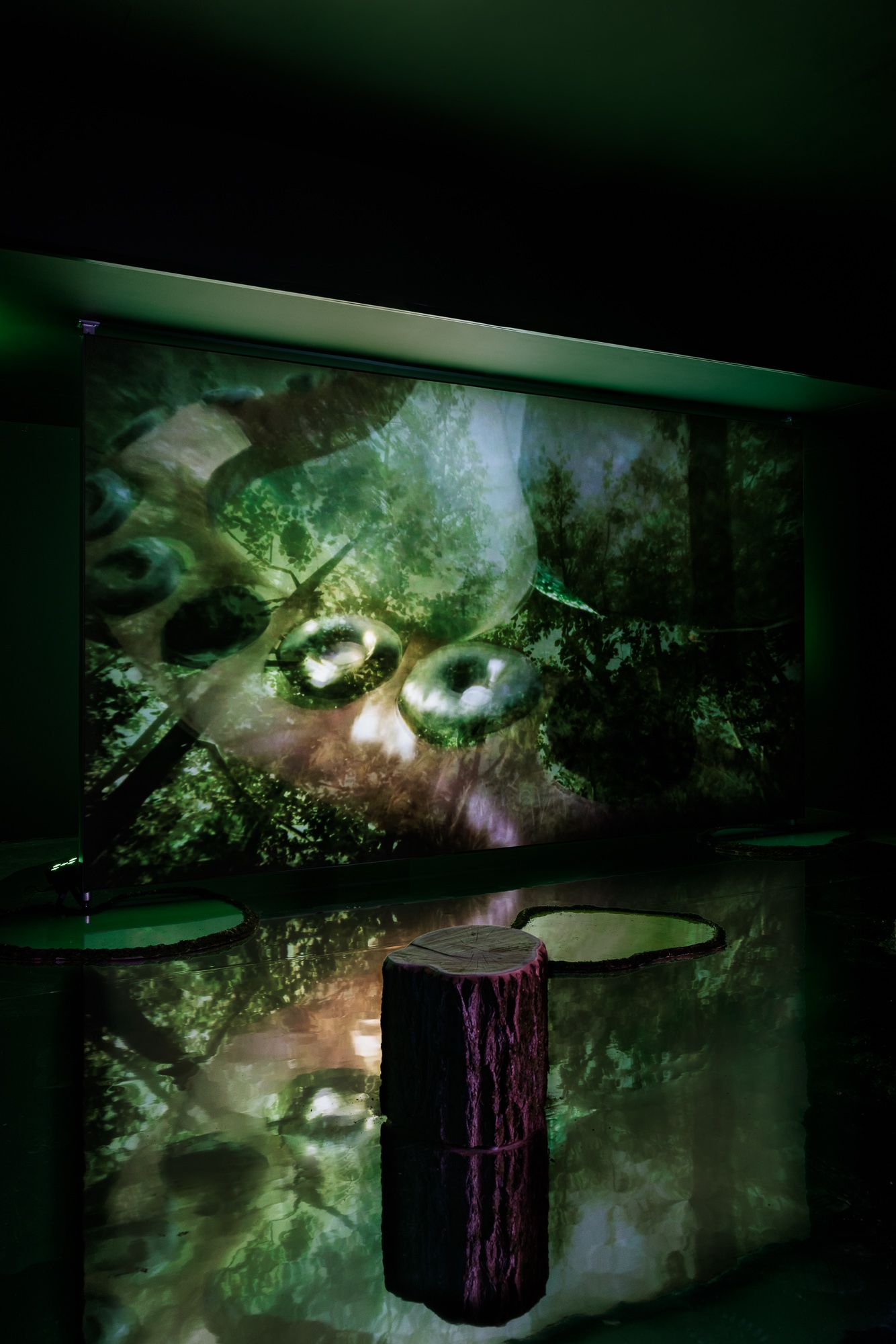 2025_10_06_Belvedere_000743_web