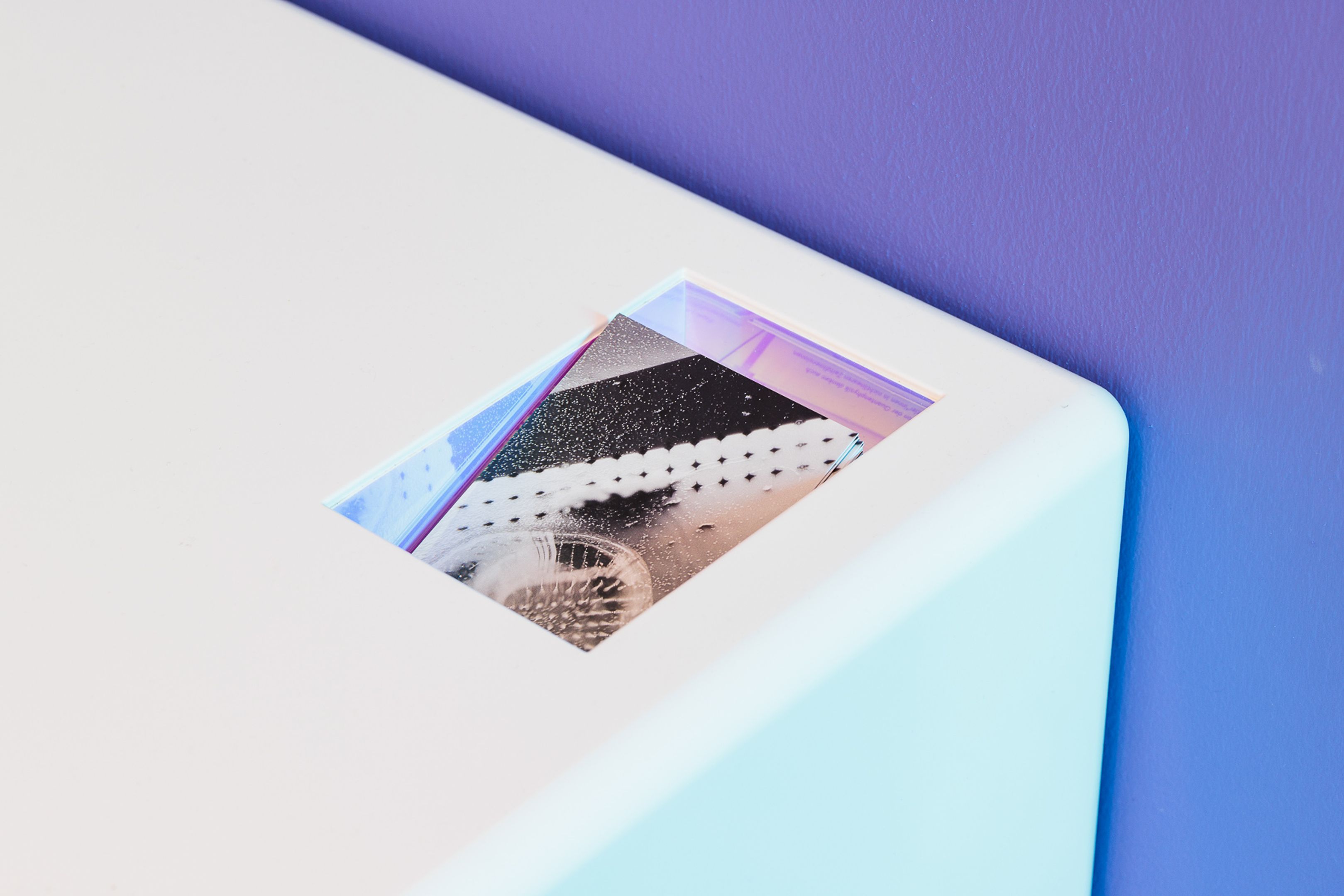 2025_10_06_Belvedere_000648