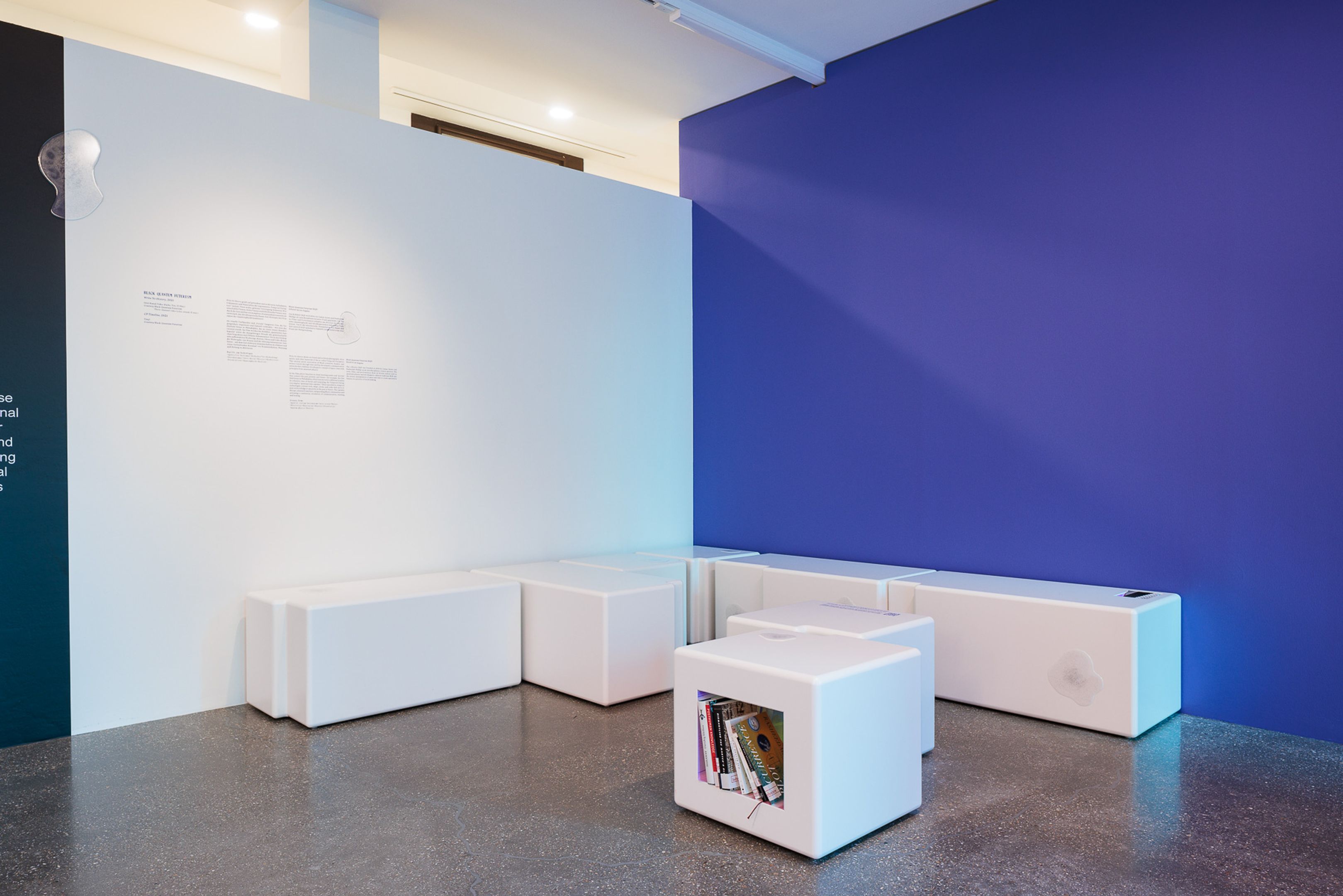 2025_10_06_Belvedere_000278