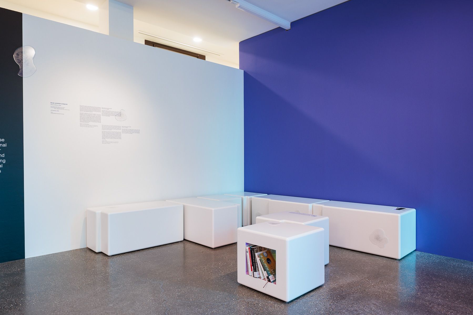 2025_10_06_Belvedere_000278