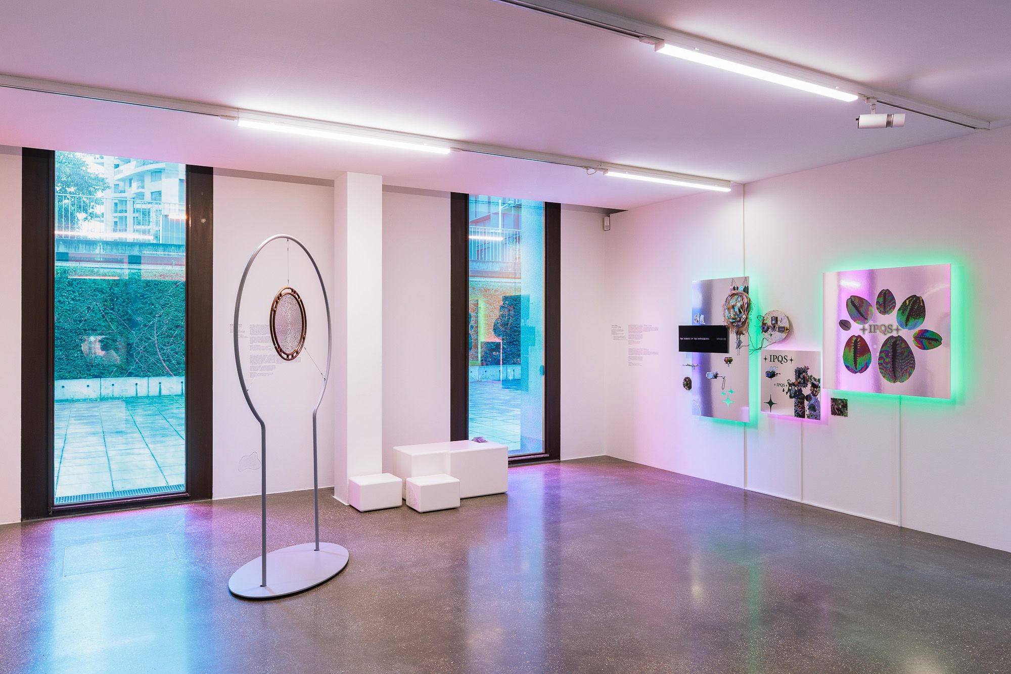 2025_10_06_Belvedere_000212_web