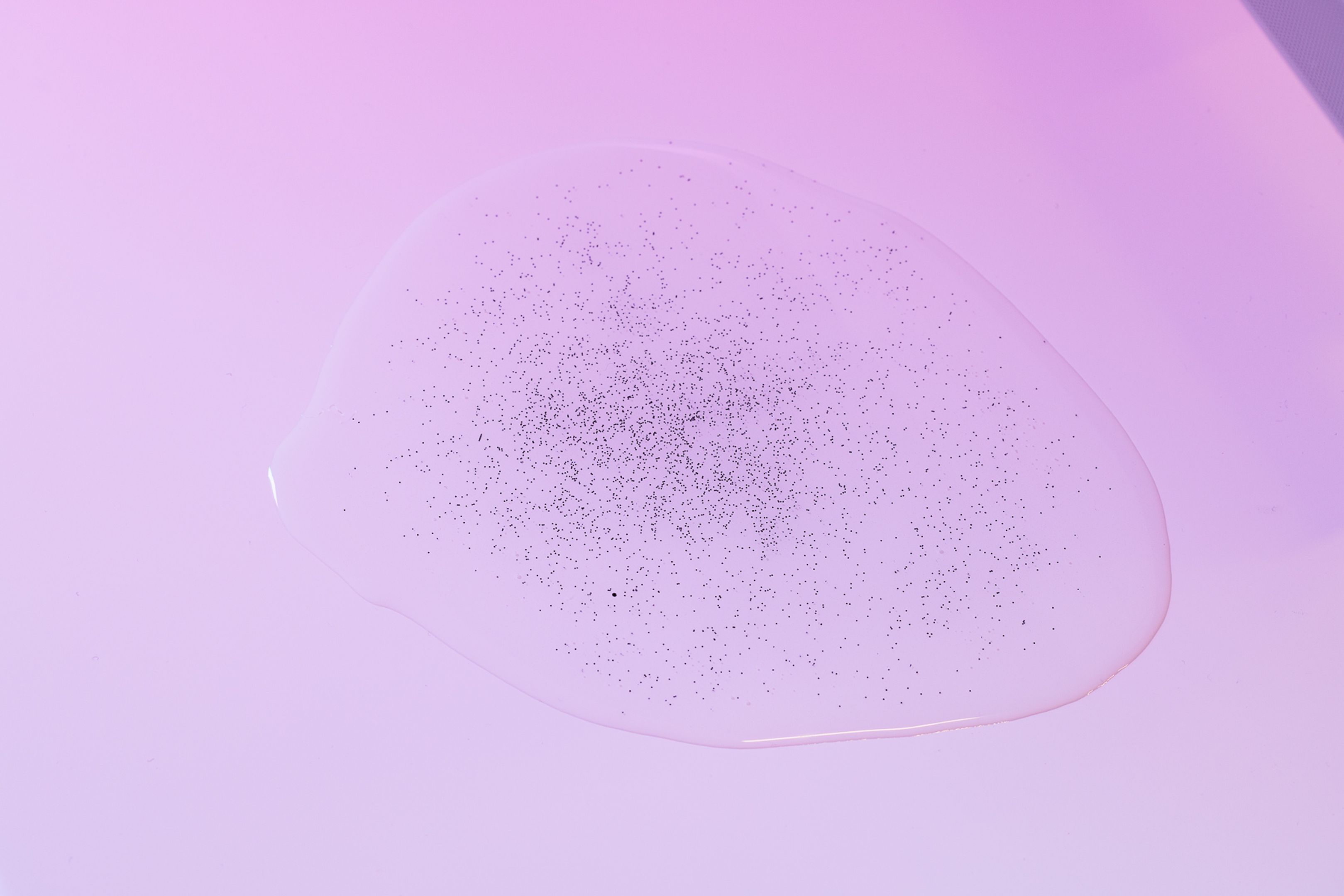 2025_10_06_Belvedere_000633