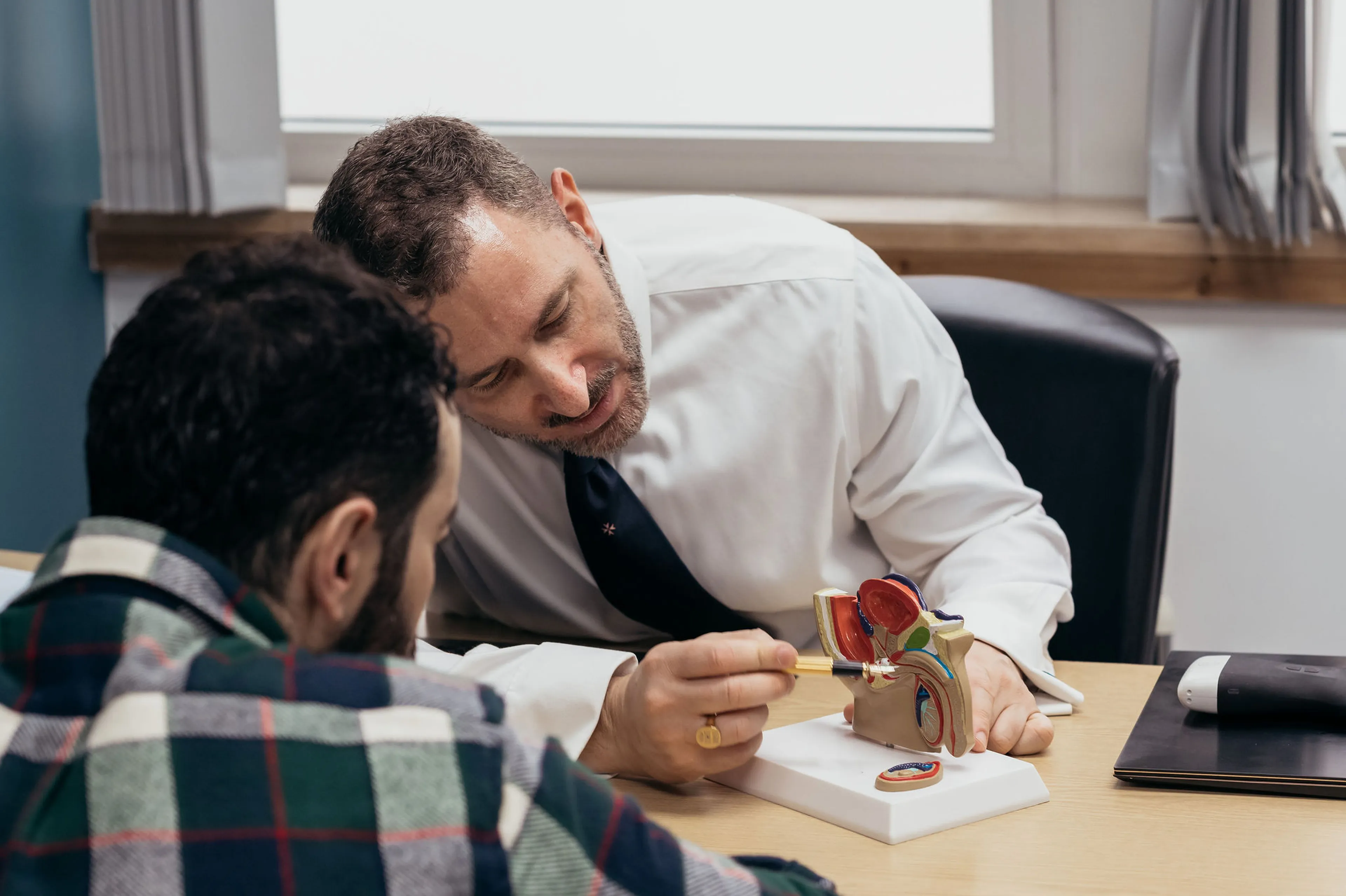 Consultant urologist explaining male genital anatomy to a patient during a clinical consultation using an anatomical model.