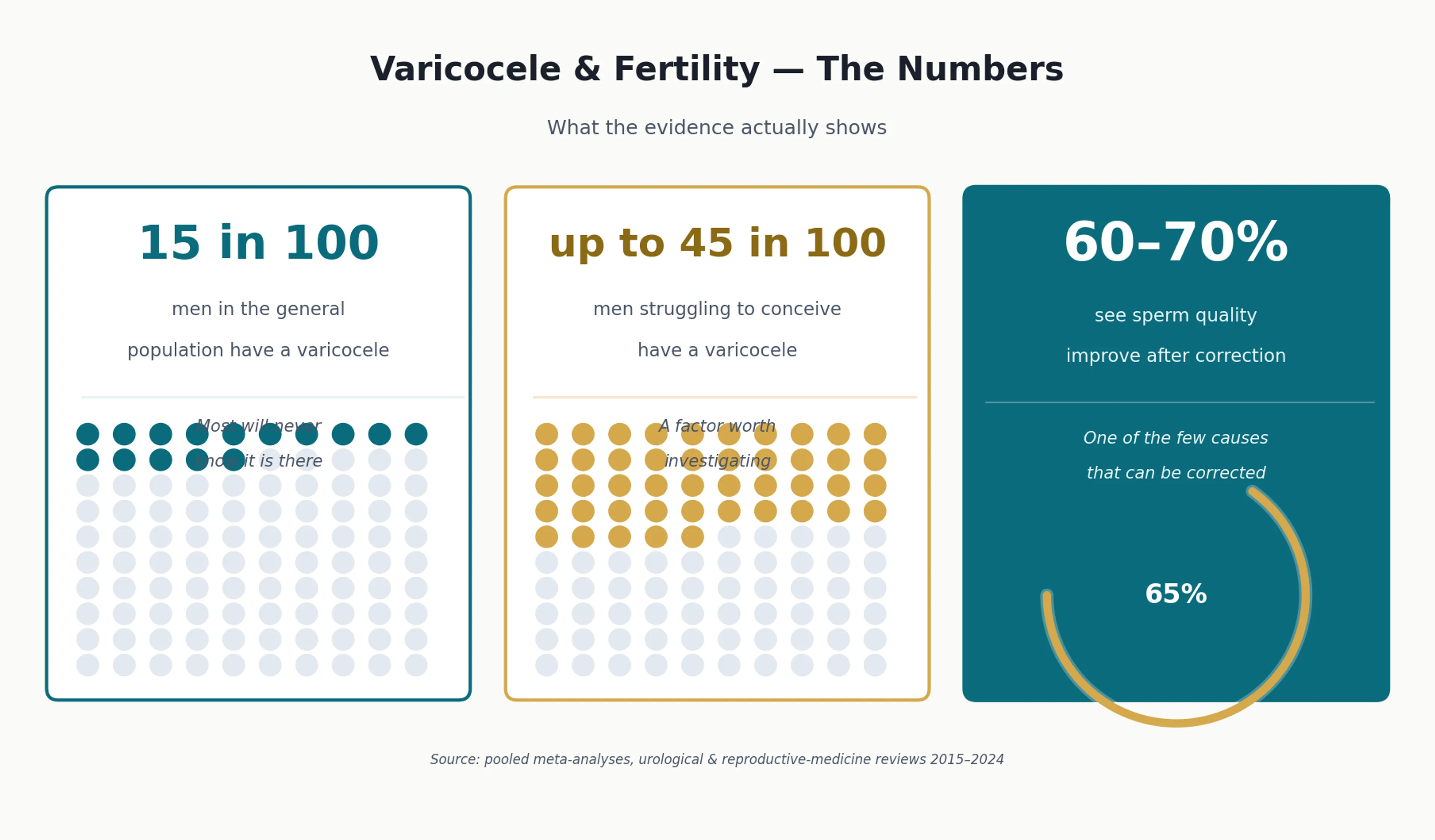 Infographic: varicocele prevalence — 15 in 100 general population vs up to 45 in 100 infertile men; 60-70% improve after correction