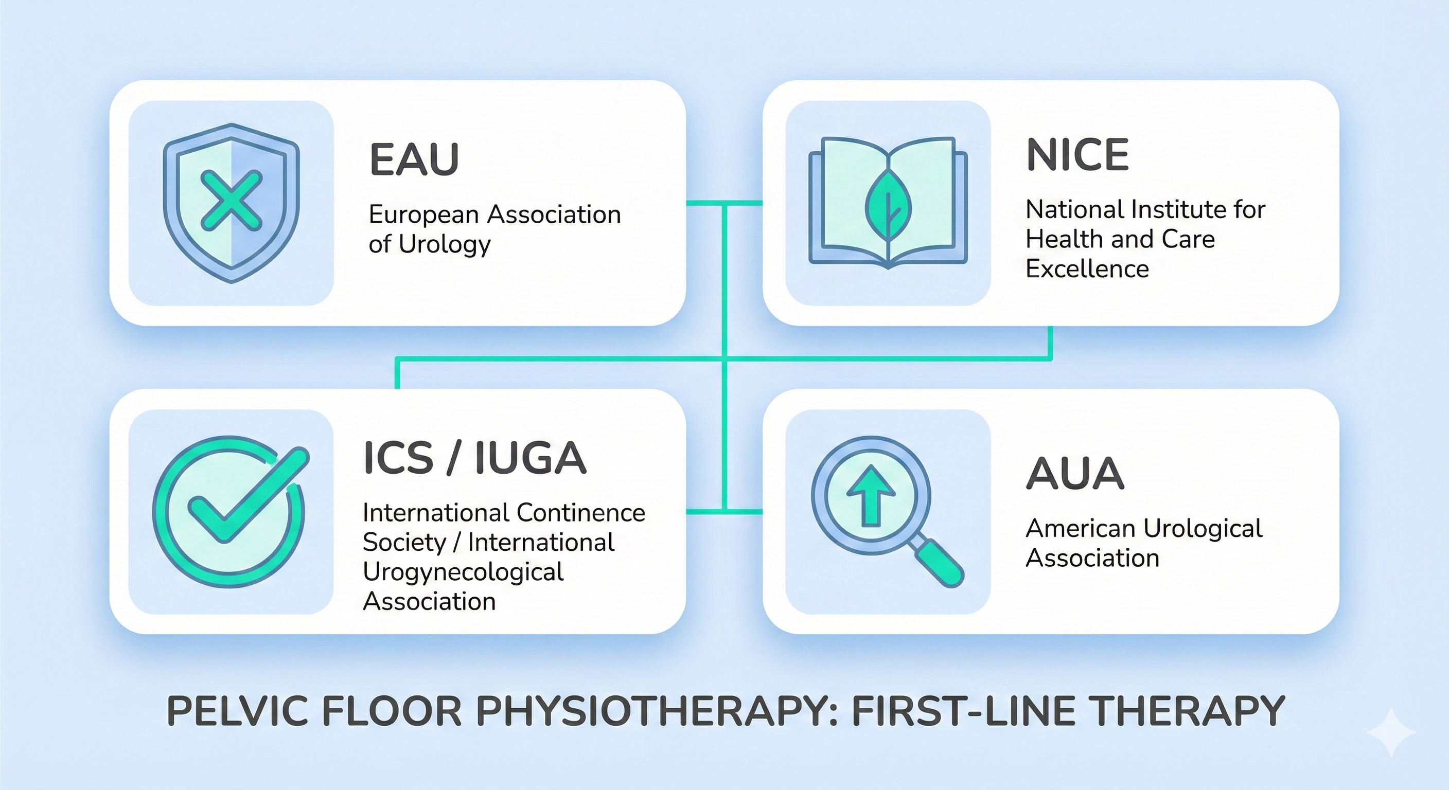 Infographic titled 'PELVIC FLOOR PHYSIOTHERAPY: FIRST-LINE THERAPY'. It features a four-panel grid with connecting lines, illustrating that four major medical organizations—EAU (European Association of Urology), NICE (National Institute for Health and Care Excellence), ICS/IUGA (International Continence Society / International Urogynecological Association), and AUA (American Urological Association)—all recommend pelvic floor physiotherapy as a first-line treatment. Each organization is presented in a distinct panel with its acronym, full name, and a relevant icon (shield, book, checkmark, magnifying glass with arrow).