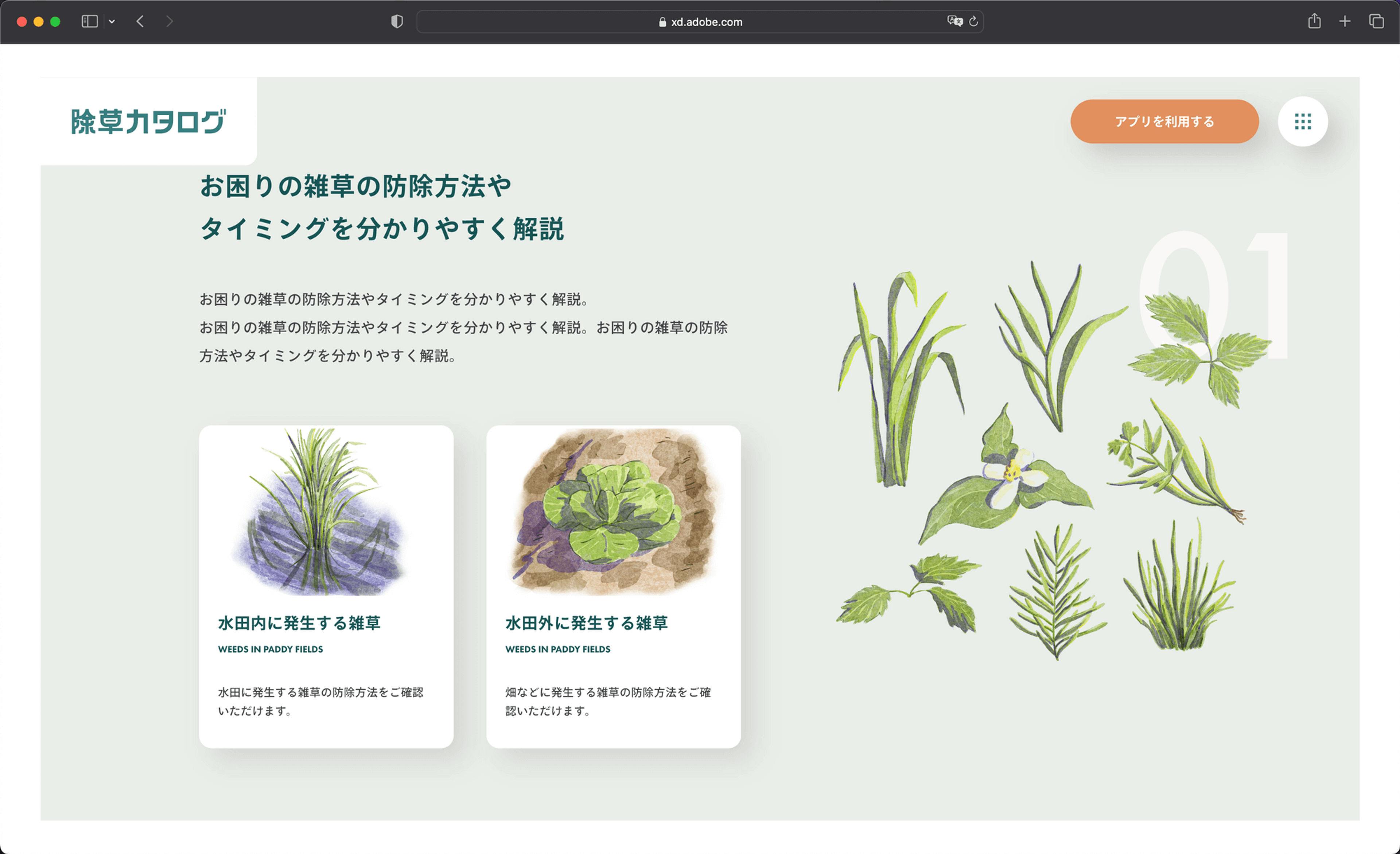除草カタログ gallery 5