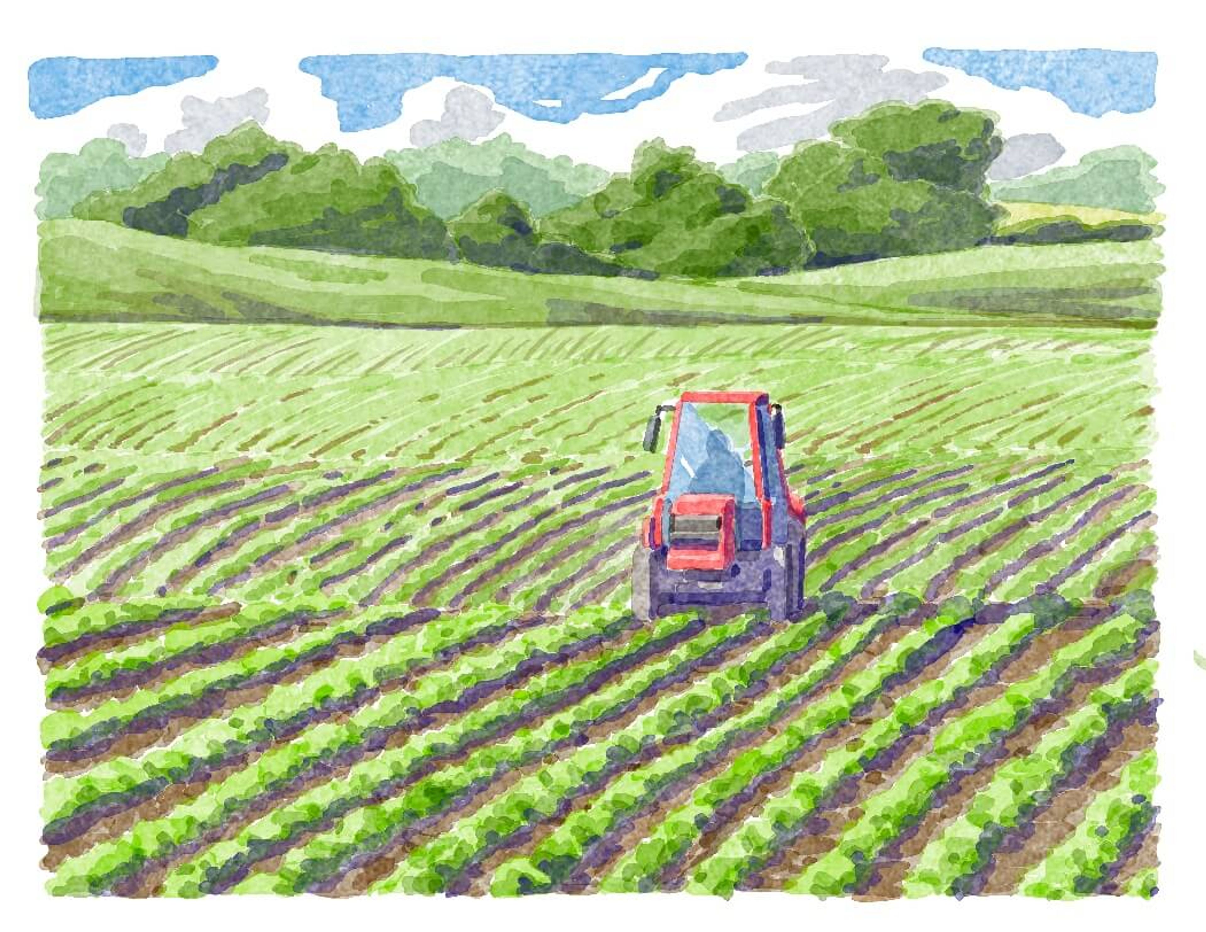 除草カタログ gallery 12