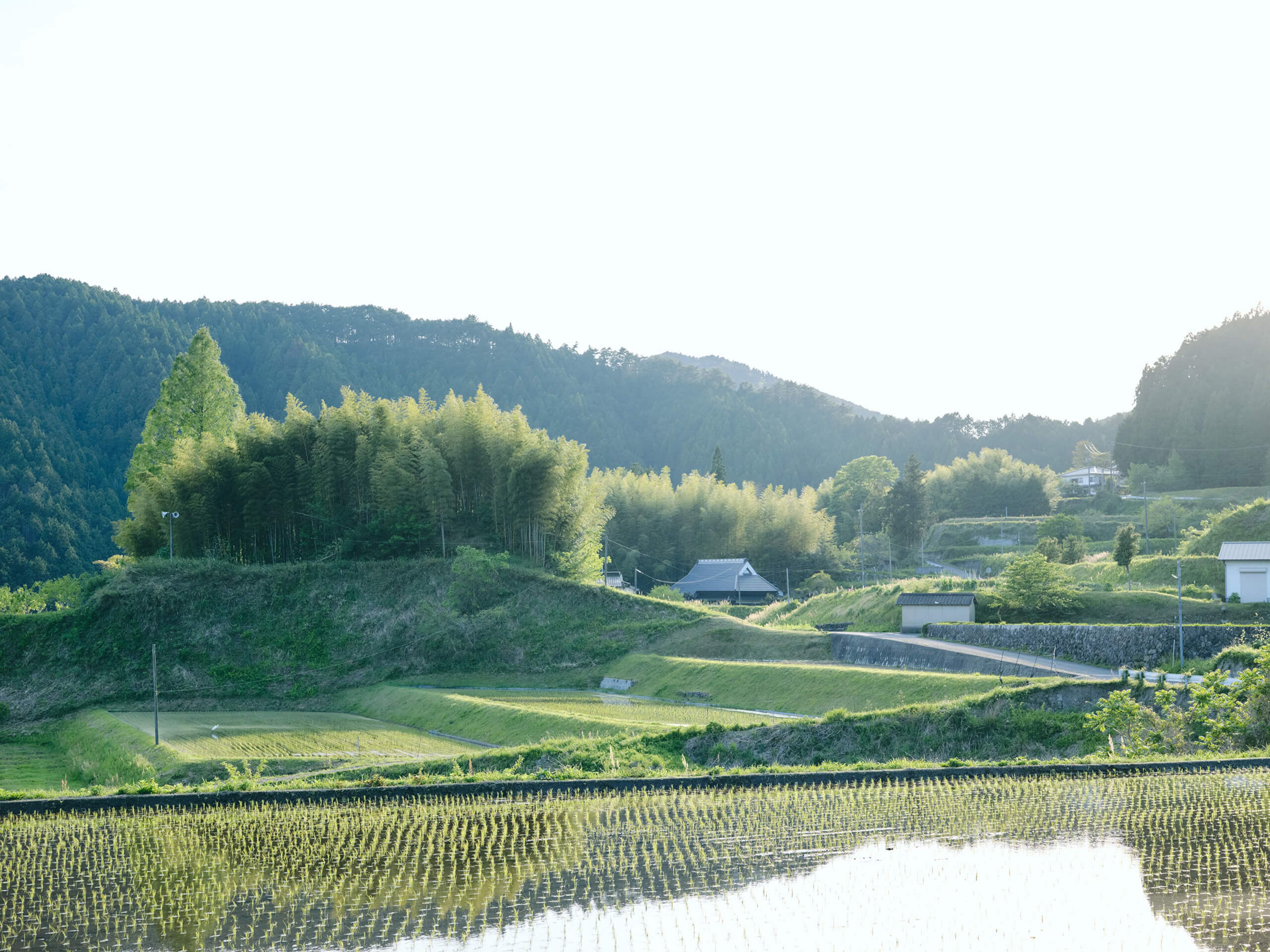 Awakura gallery 4