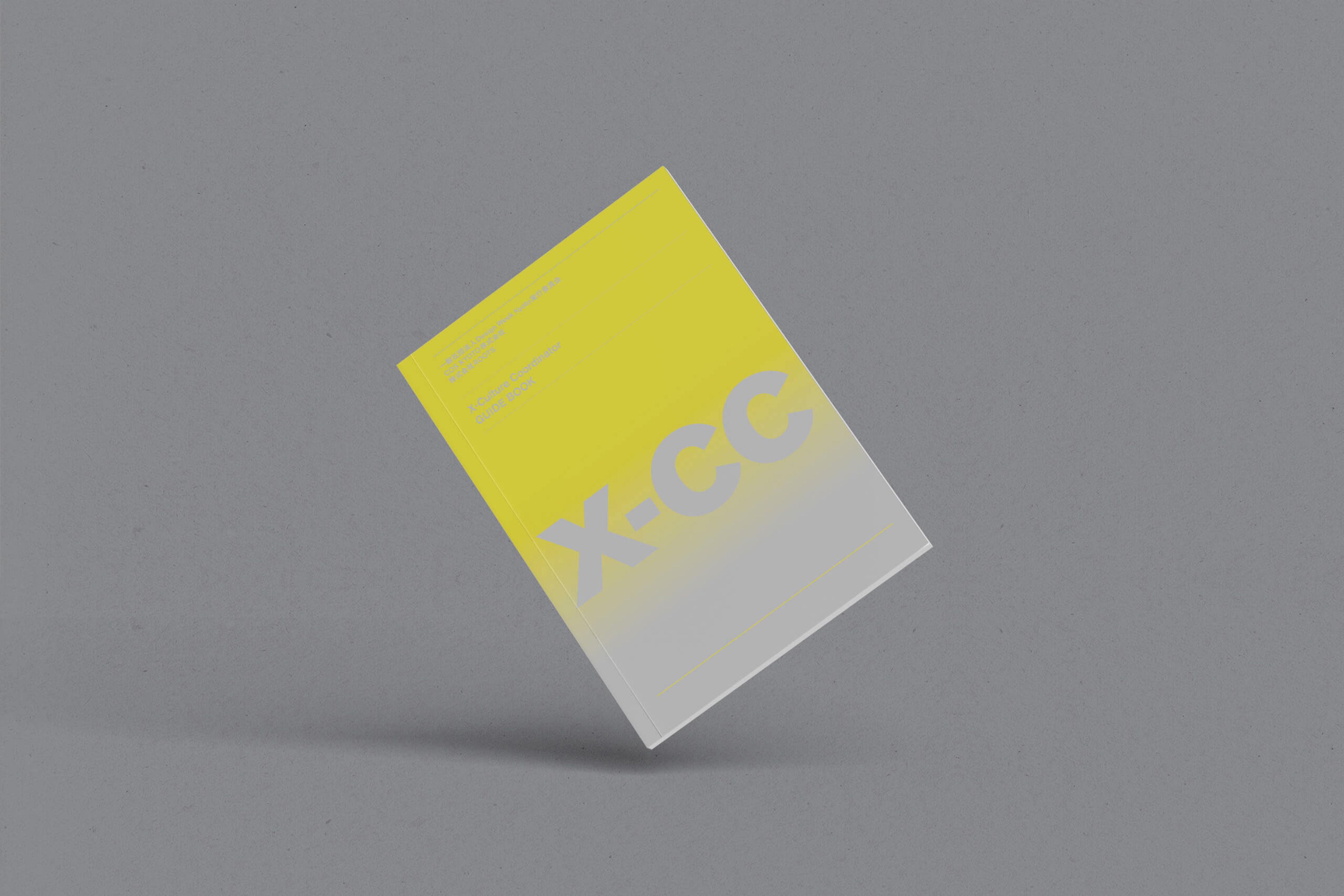 X-CC gallery 1