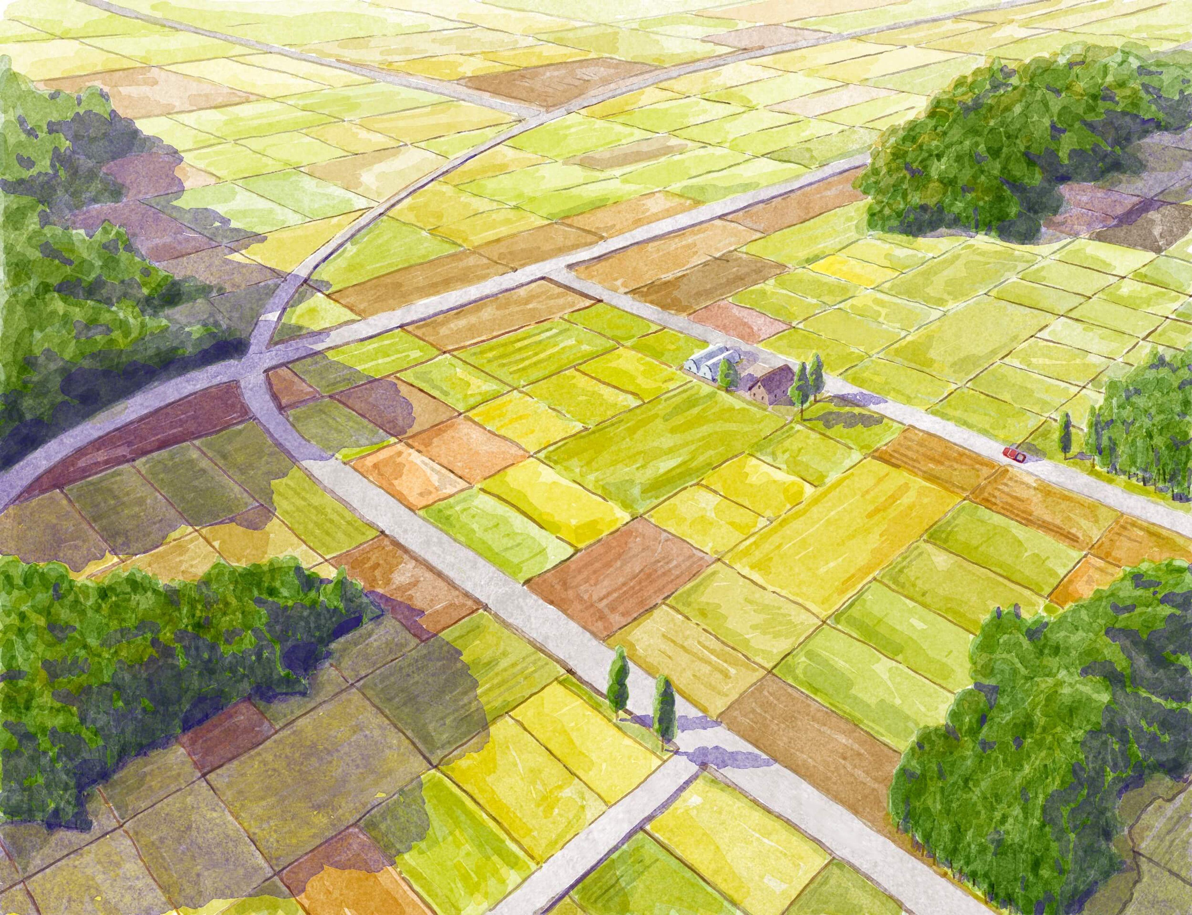 除草カタログ gallery 11