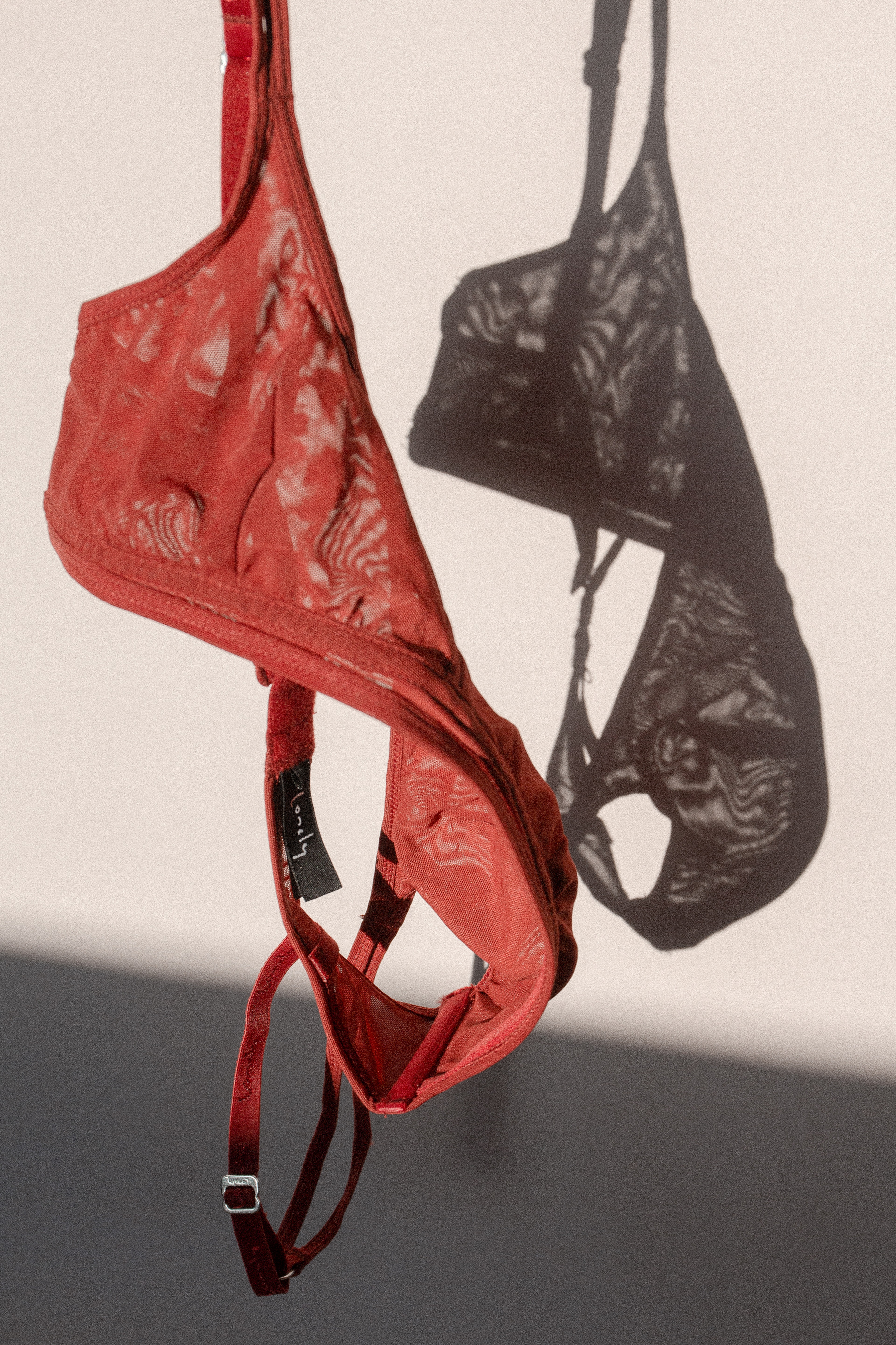 Luna Softcup Bra Garnet - 7