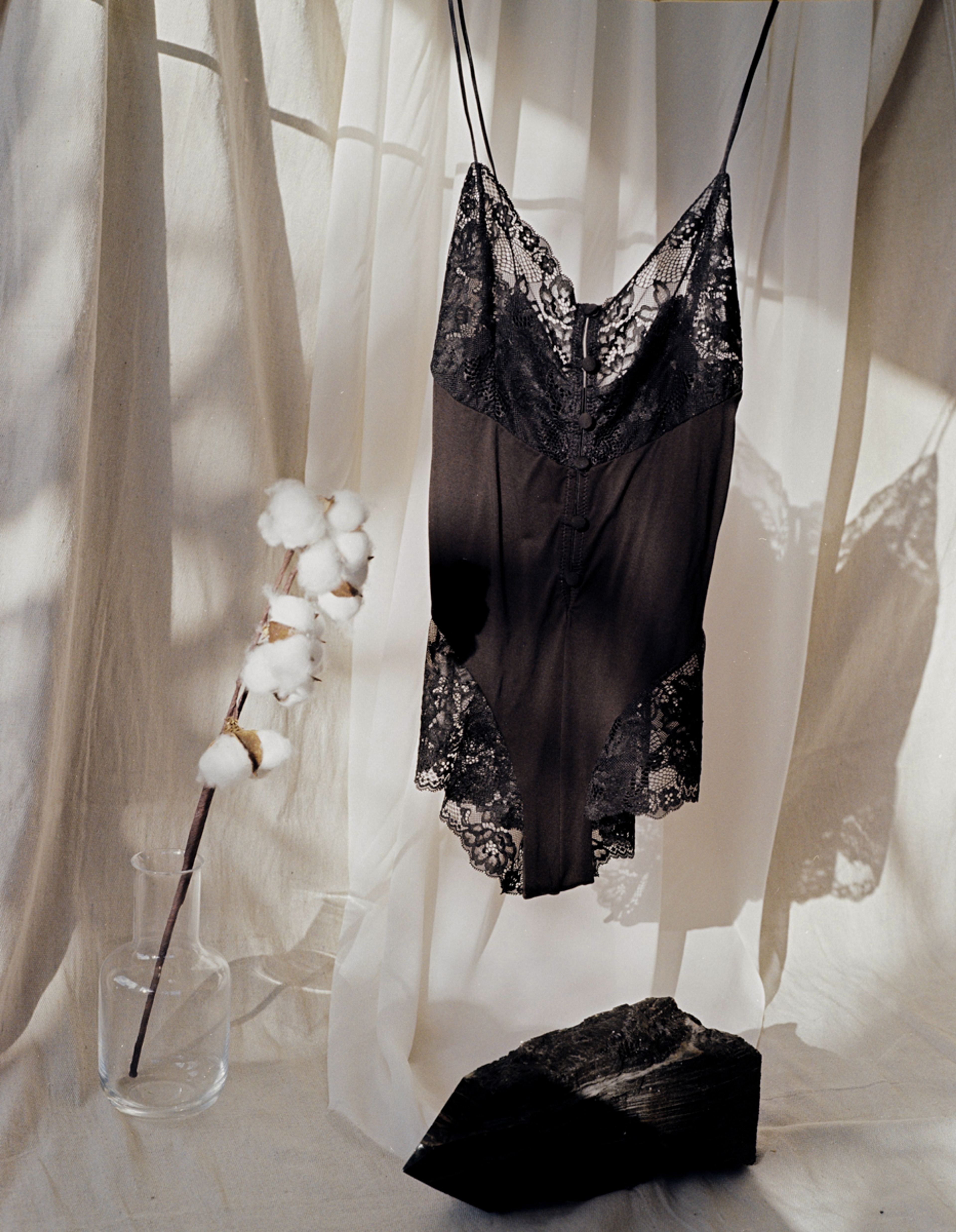 Hollie Teddy Black - 6