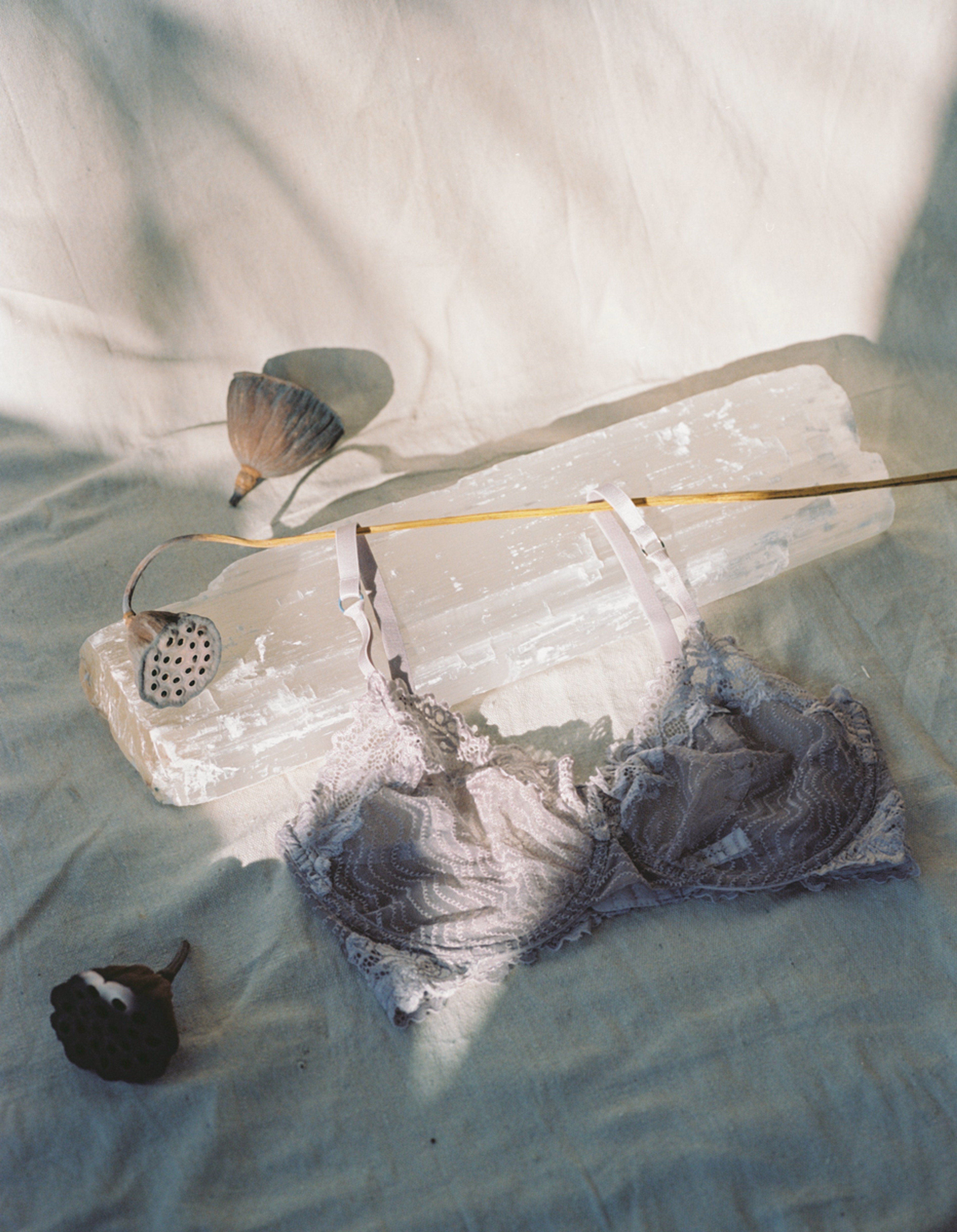 Bonnie Underwire Bra Cloud - 5