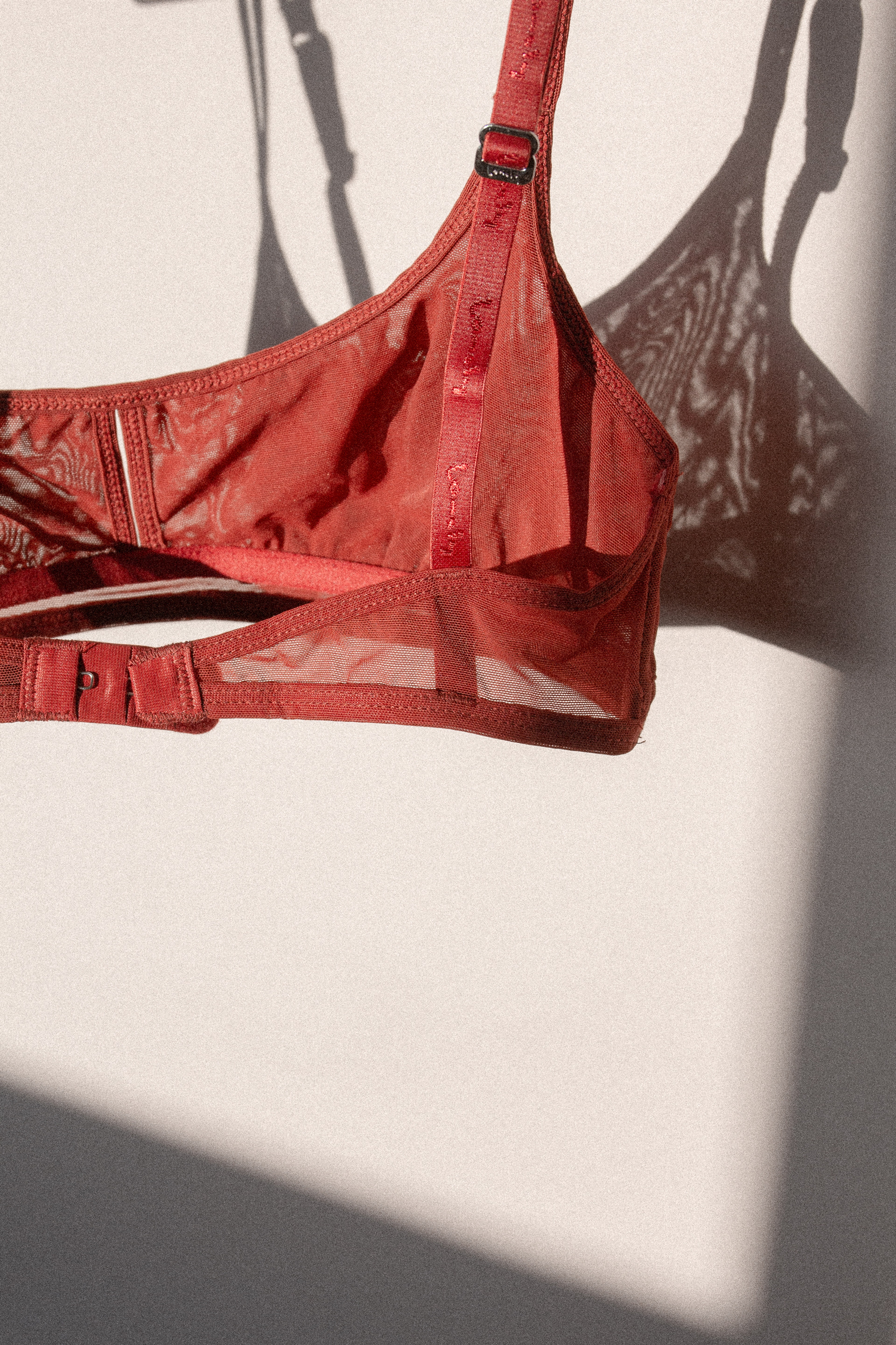 Luna Softcup Bra Garnet - 8