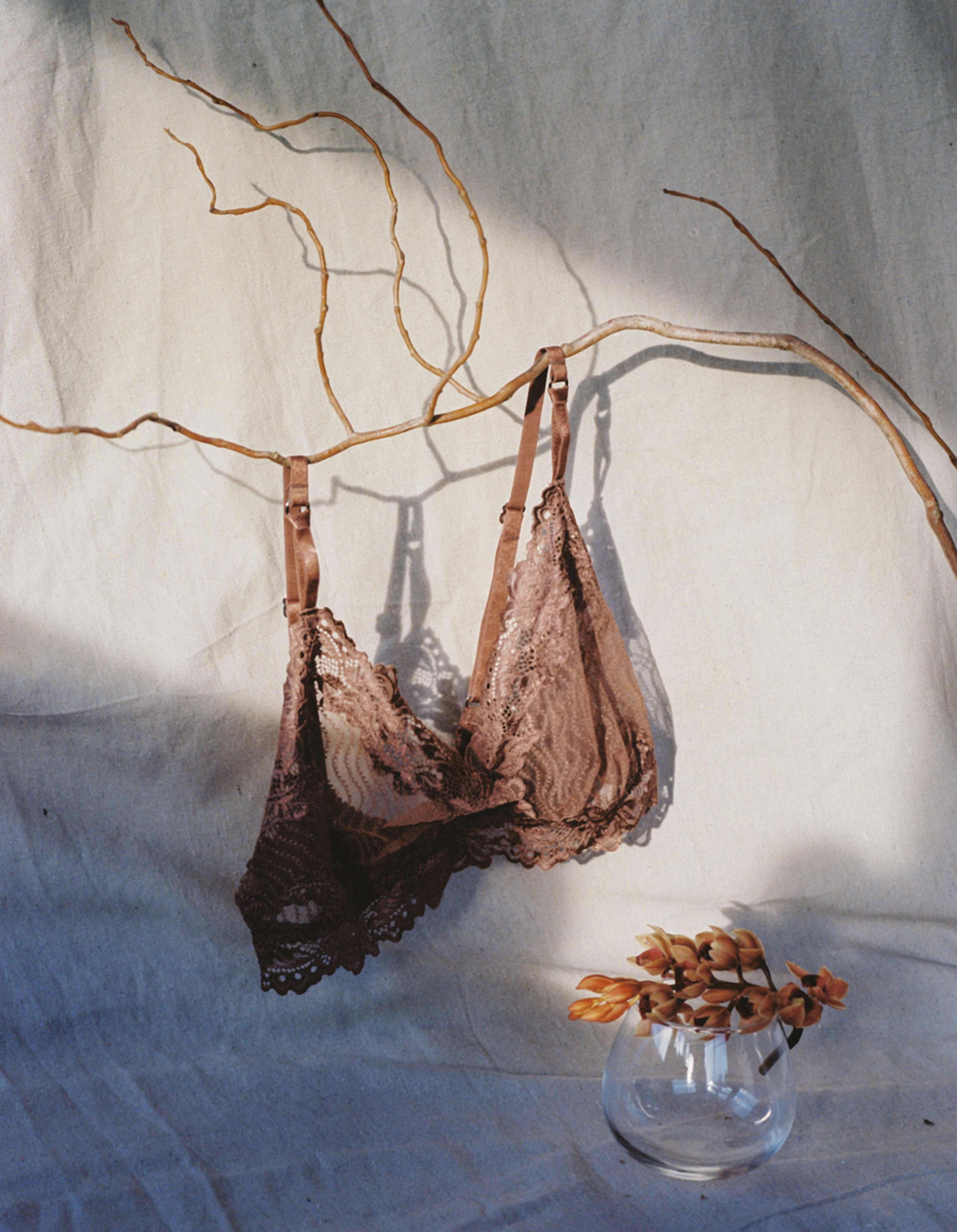 Bonnie Softcup Bra Dusk - 5