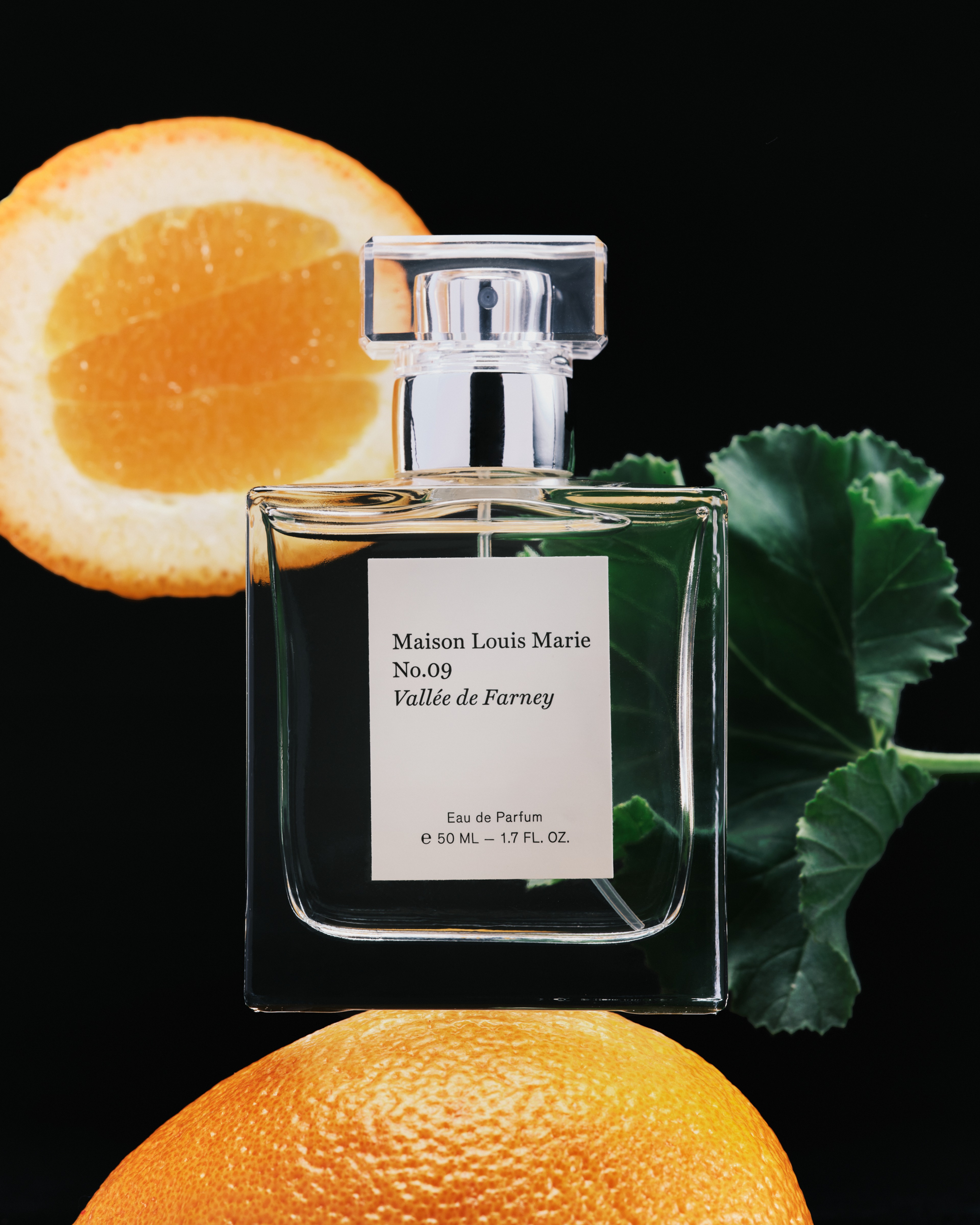 Maison Louis Marie - EDP - No.09 Valle de Farney - 1