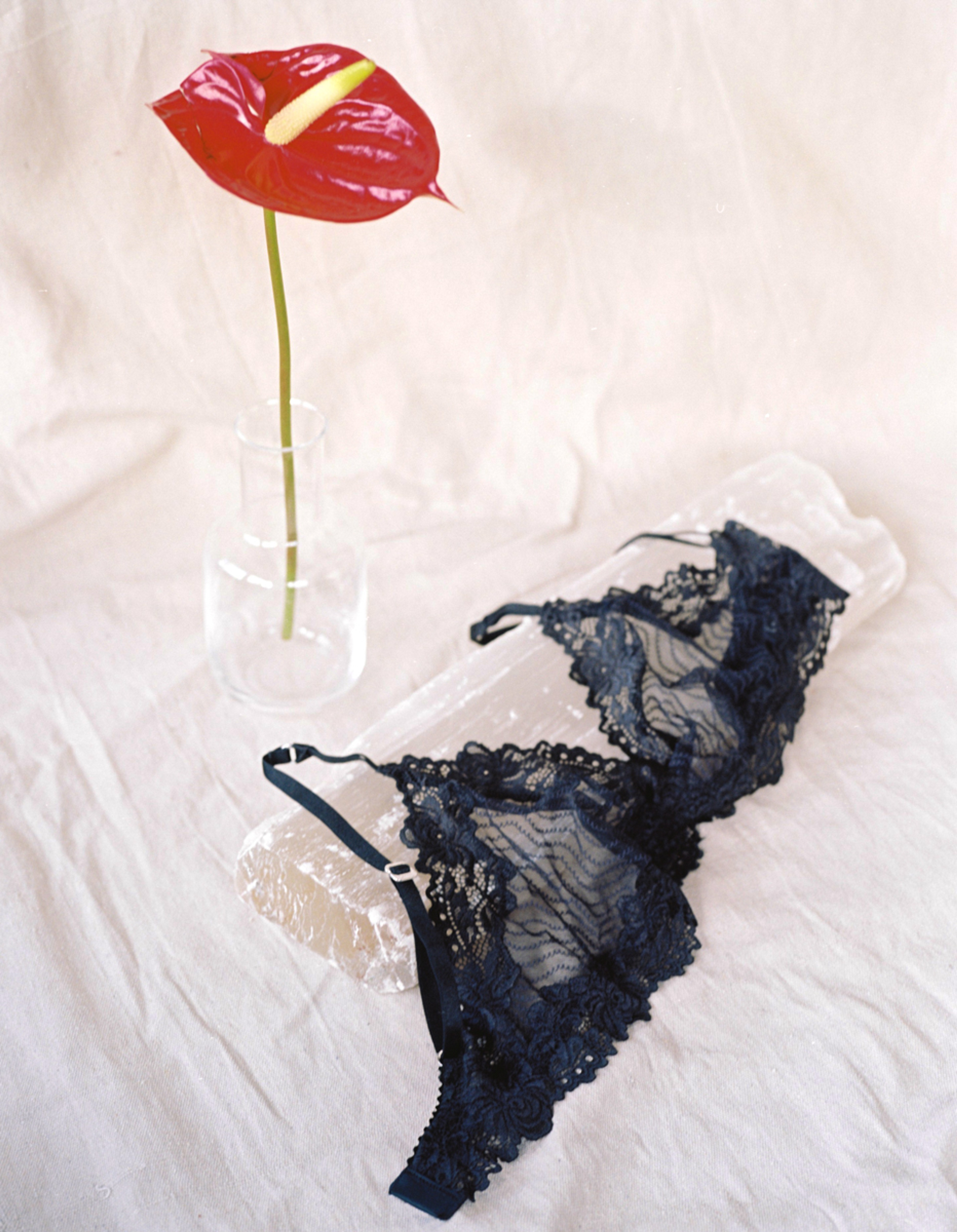 Bonnie Softcup Bra Midnight - 5
