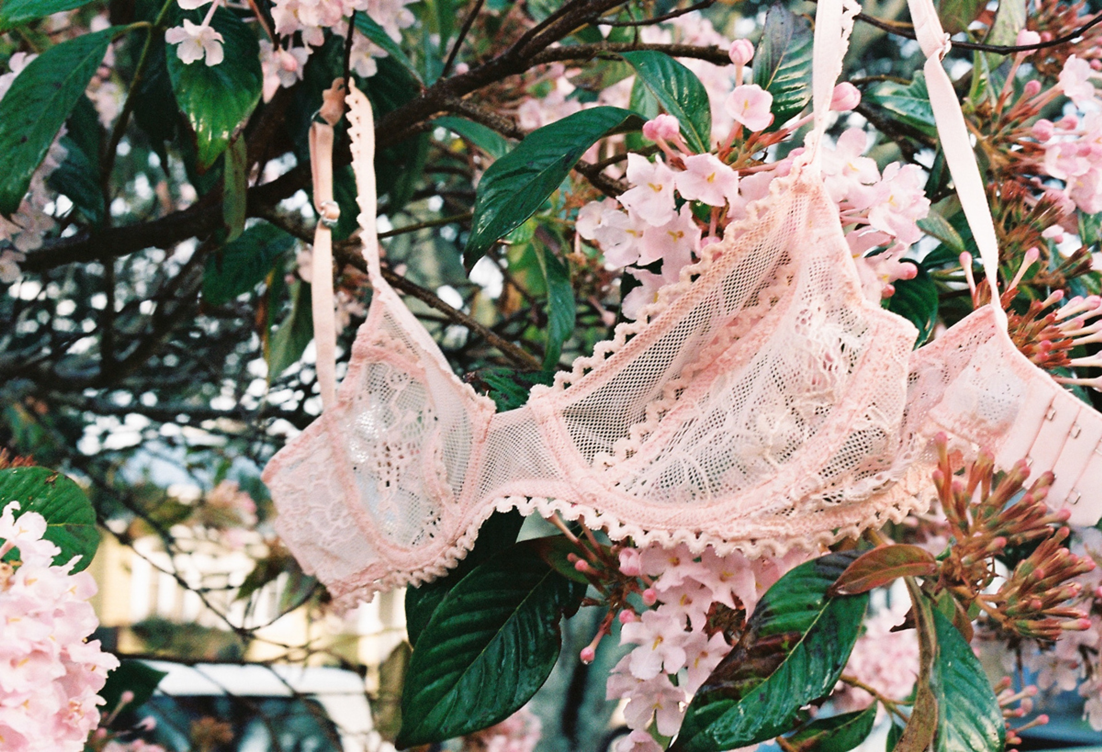 Kiki Underwire Bra Peony - 2