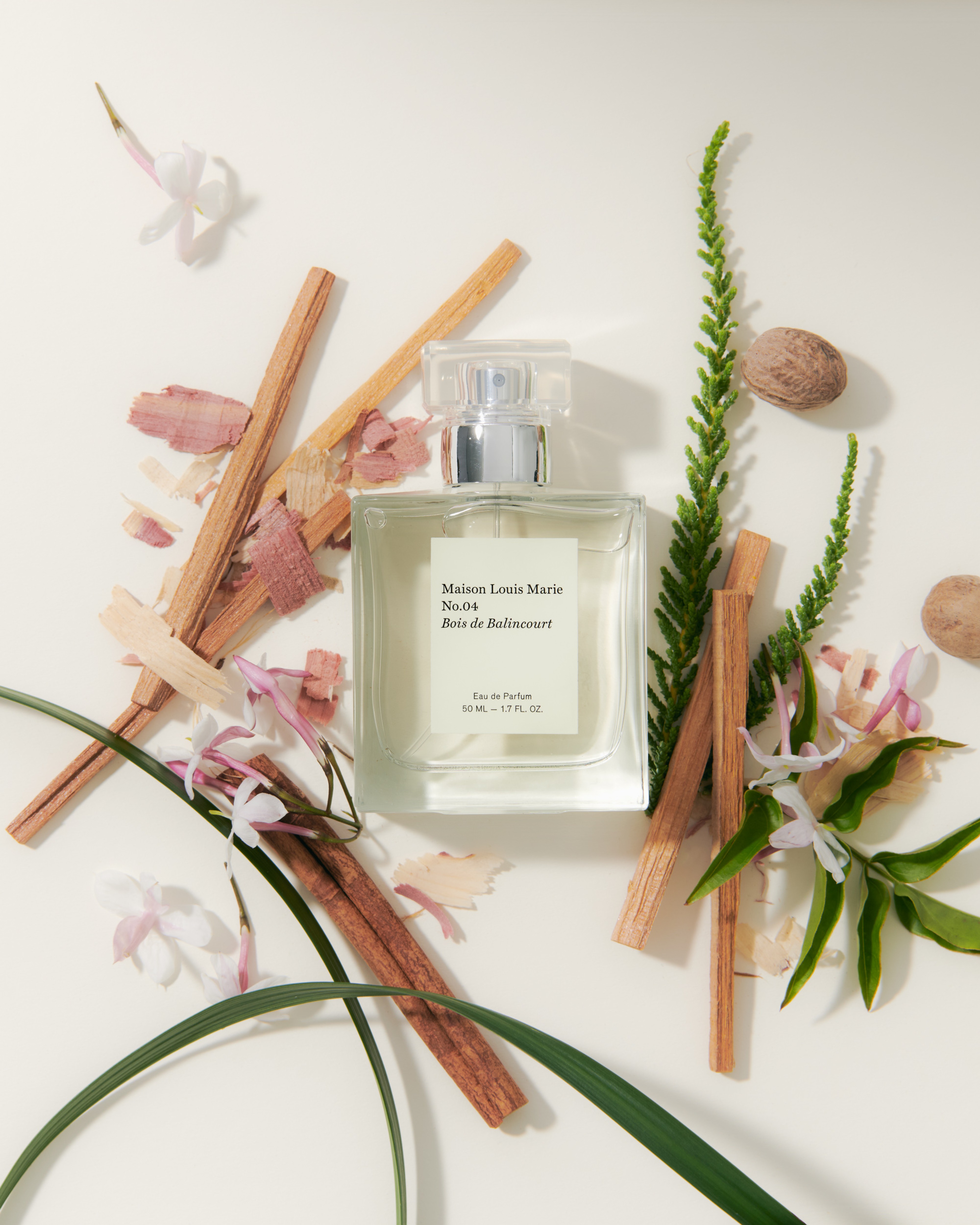 Maison Louis Marie - EDP - No.04 Bois de Balincourt - 7