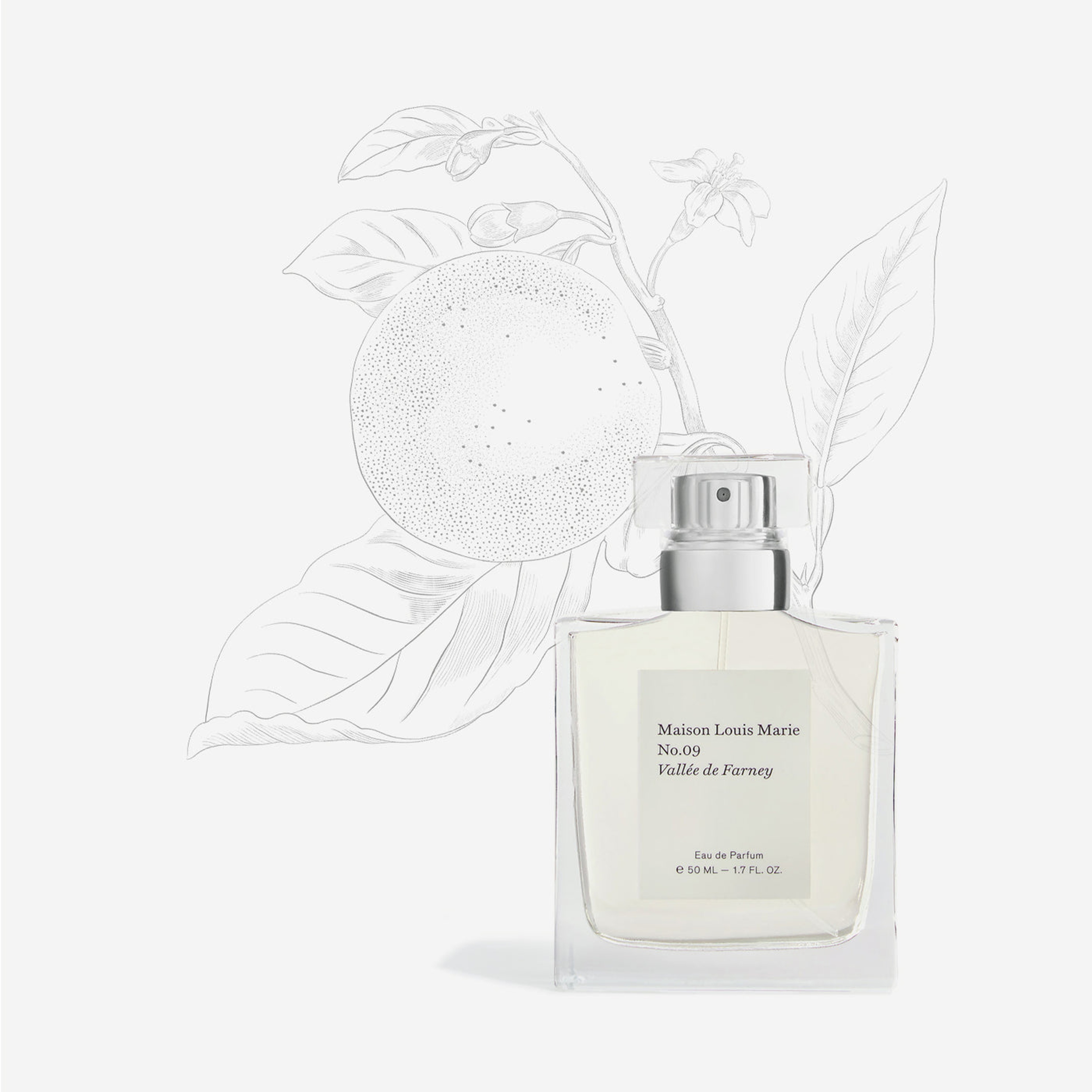 Maison Louis Marie - EDP - No.09 Valle de Farney - 5