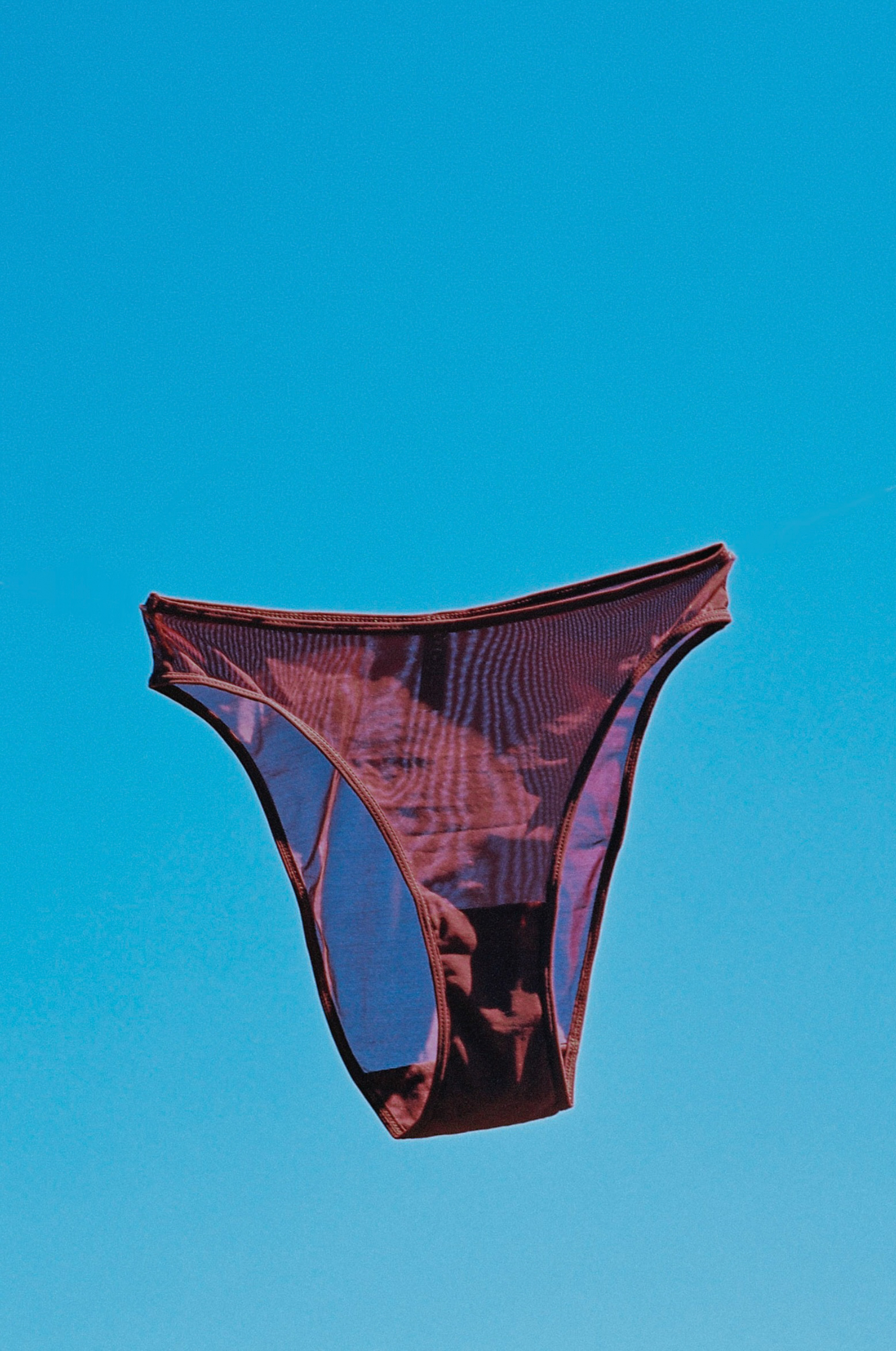 Luna High Waist Brief Garnet - 6