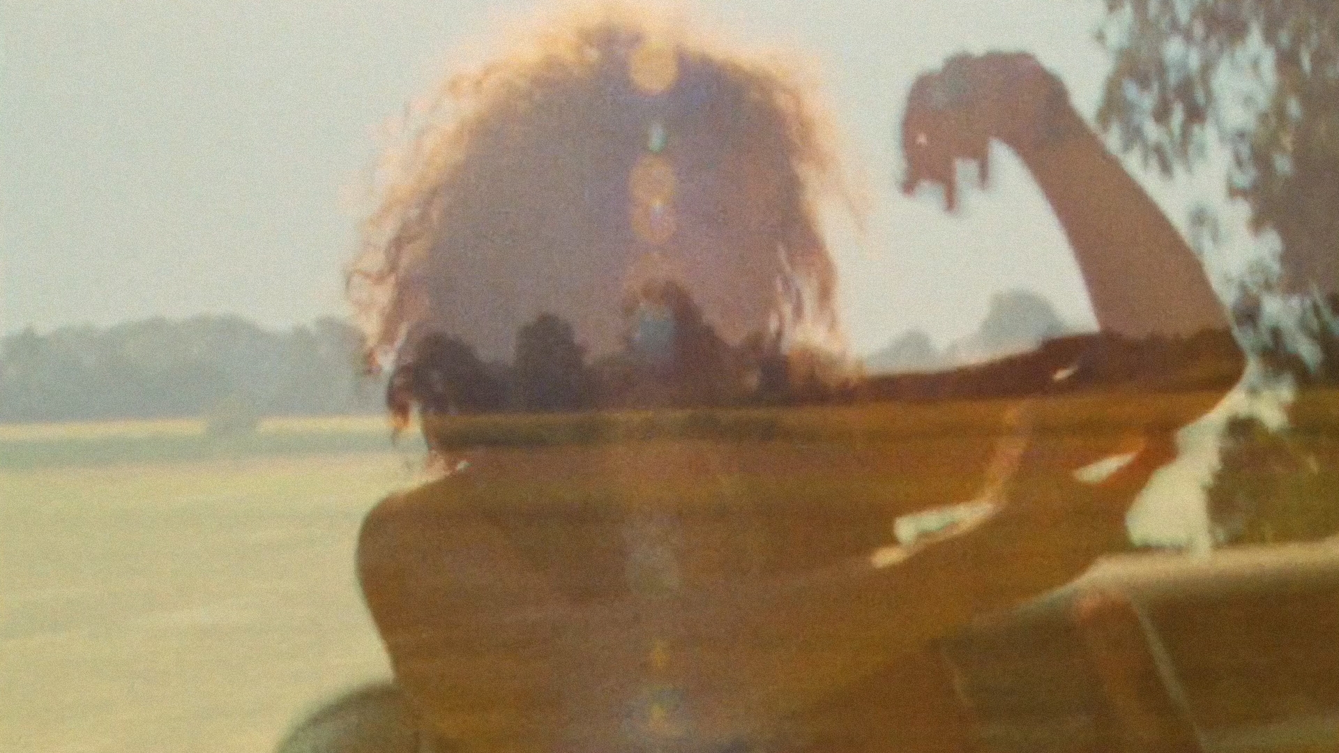 50 Years On The Road