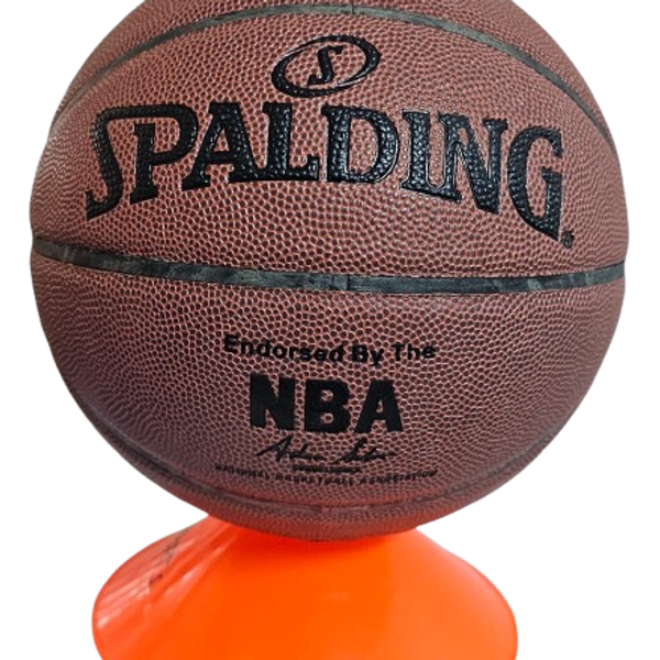 Basketball Spalding