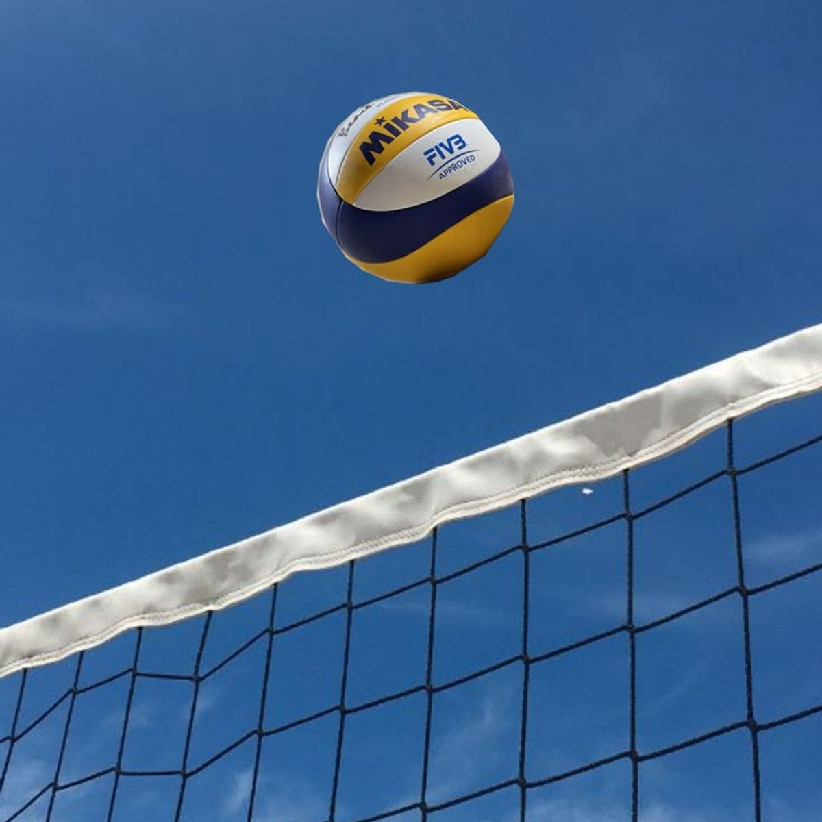 Volleyballl Ball