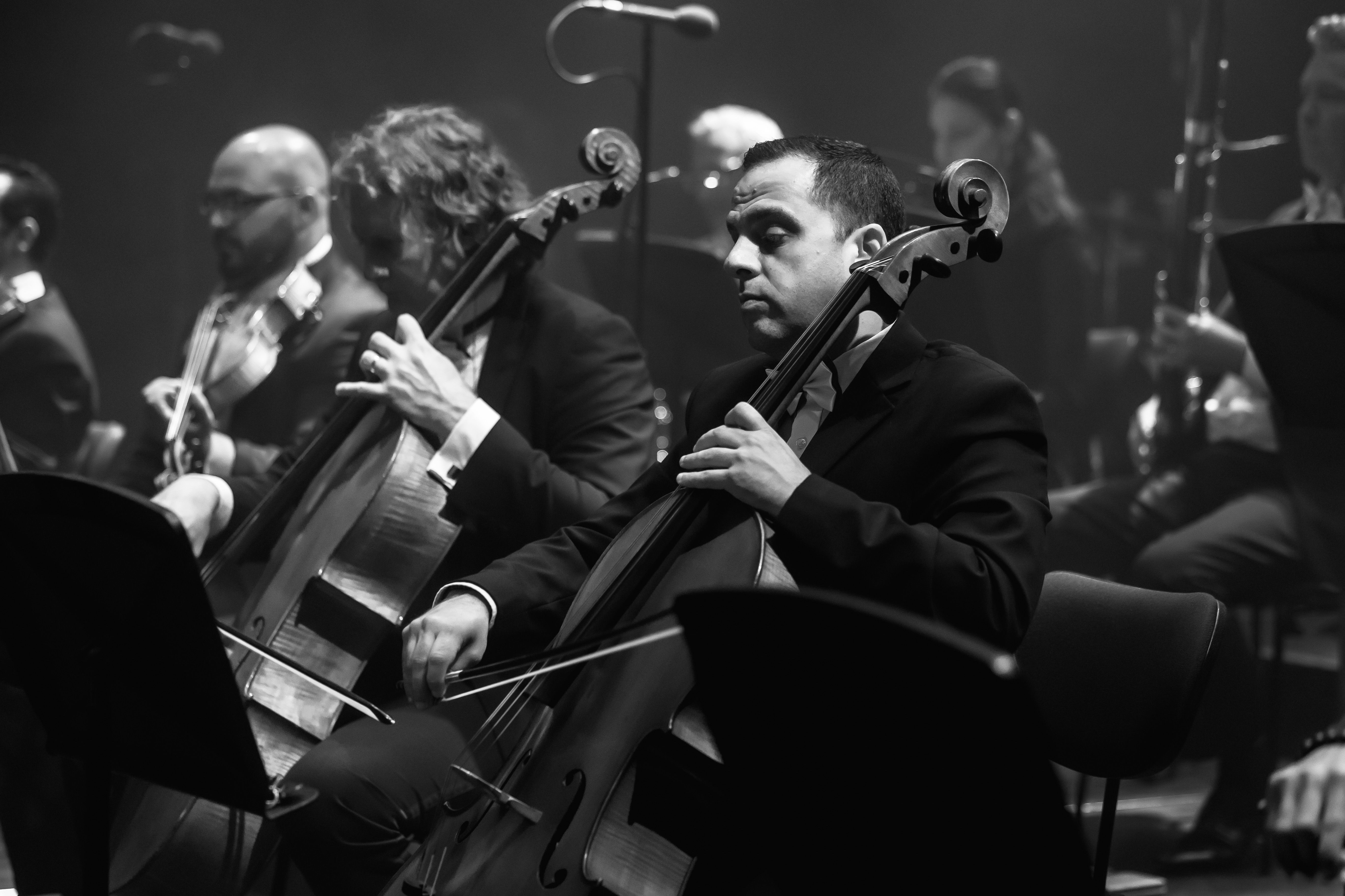 Two cellists in the foreground and the rest of the orchestra behind them.