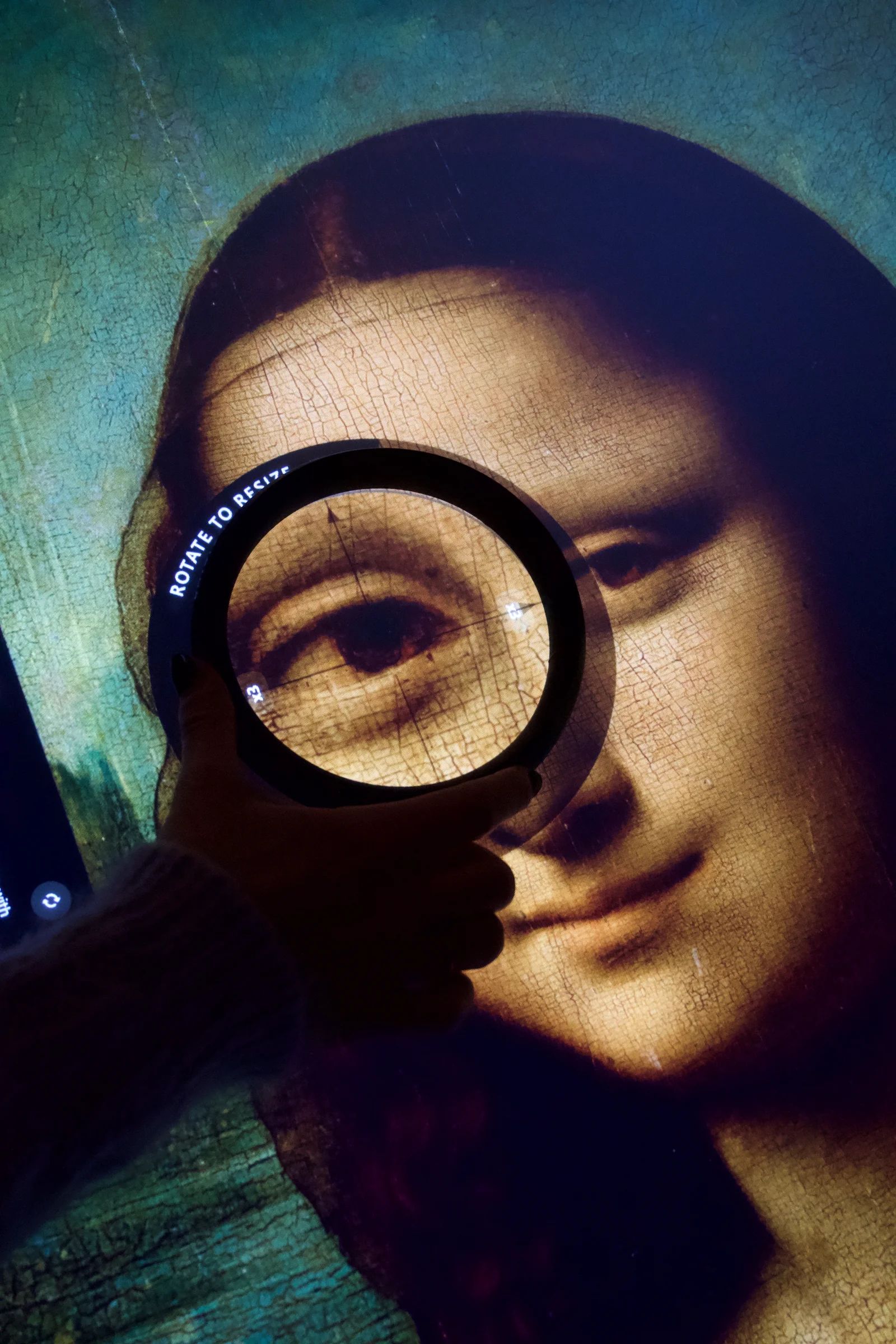 Meet Mona Lisa — image 4