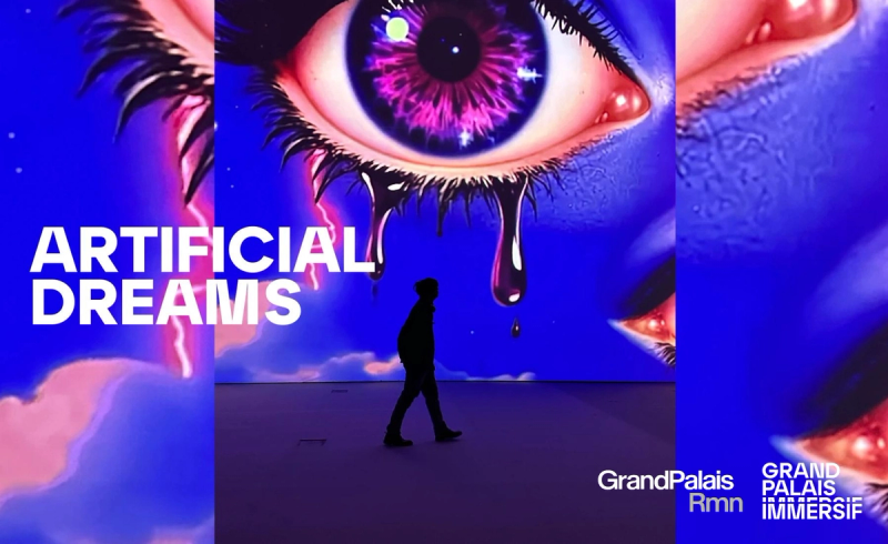 Artificial Dreams