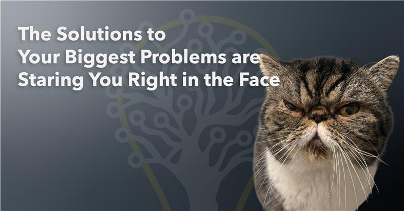 The Solutions to Your Biggest Problems Are Staring You Right in the Face