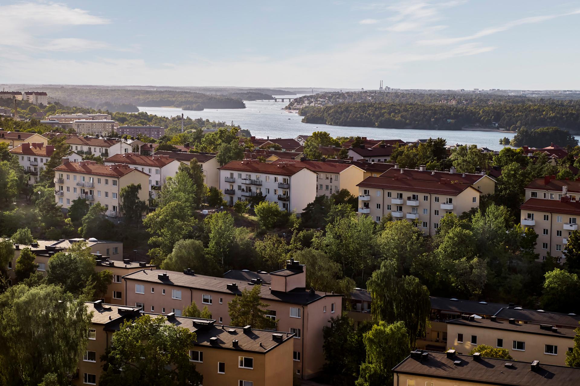 Flyfoto av boligområde med skog og innsjø i bakgrunnen.