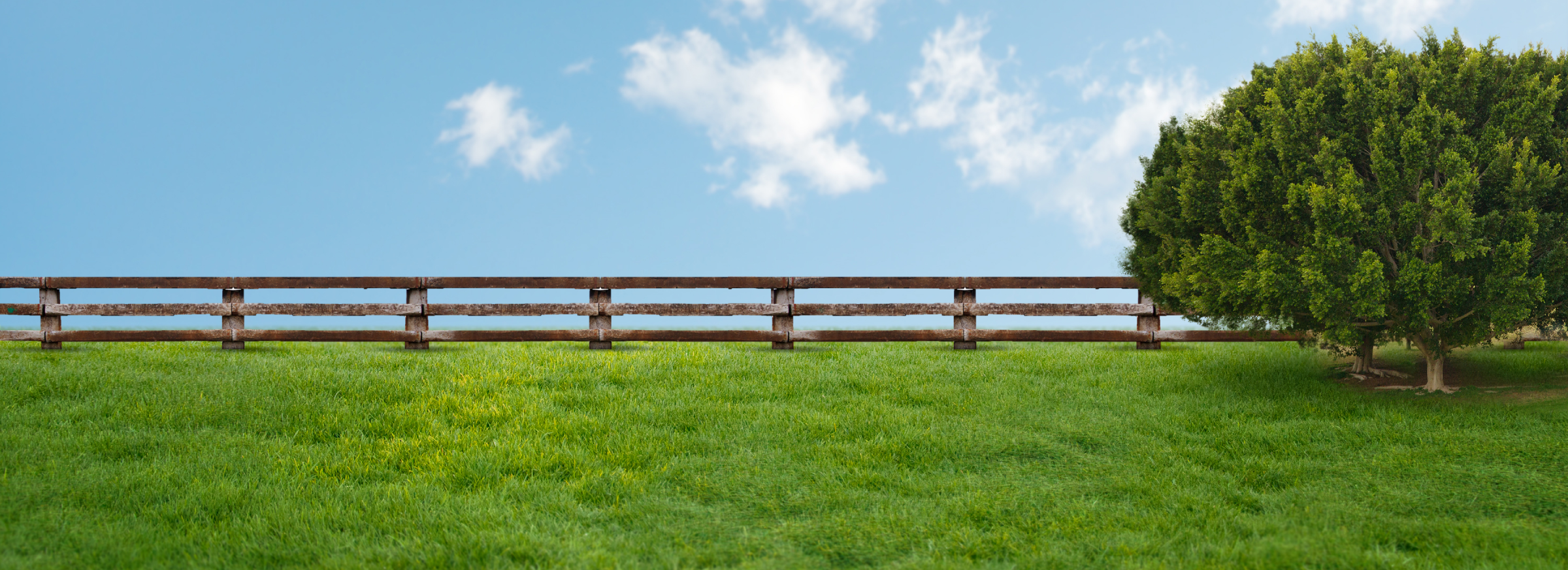 สนามหญ้าภูมิทัศน์ 